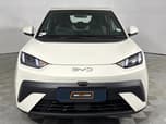 BYD Dolphin Surf
