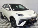 BYD Dolphin Surf
