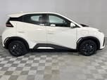 BYD Dolphin Surf