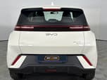 BYD Dolphin Surf