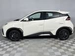 BYD Dolphin Surf
