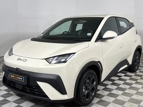 2026 BYD Dolphin Surf