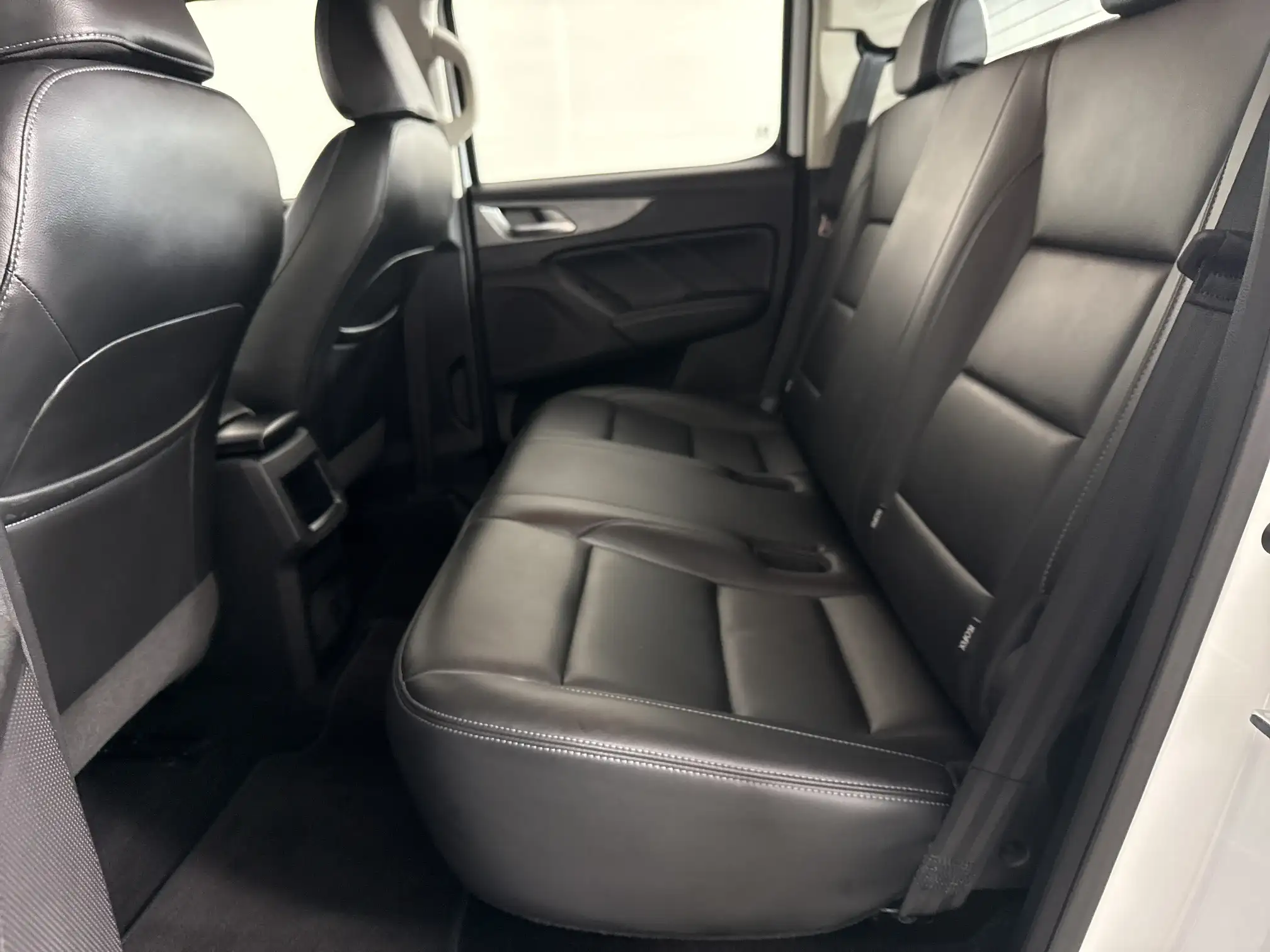 GWM P-Series
