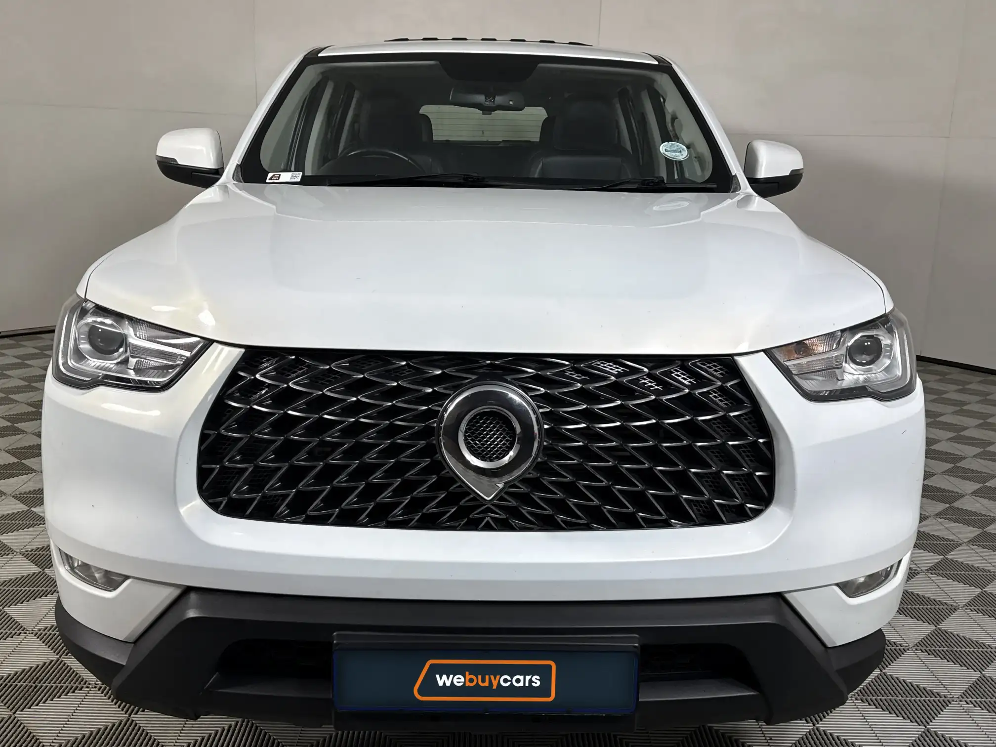 GWM P-Series