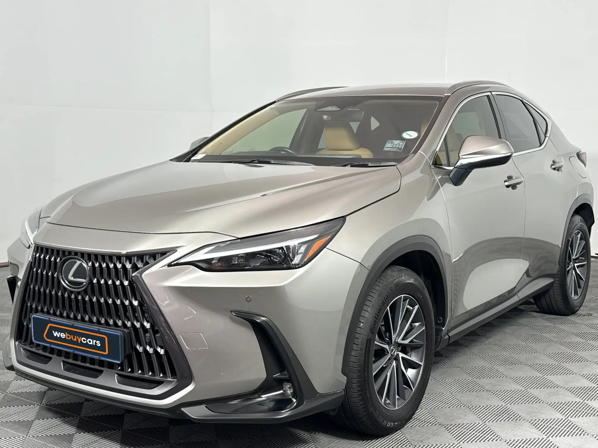 2023 Lexus NX