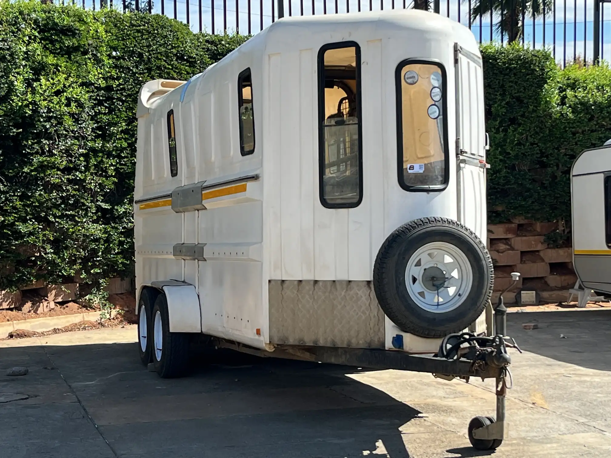 Custom Horse
