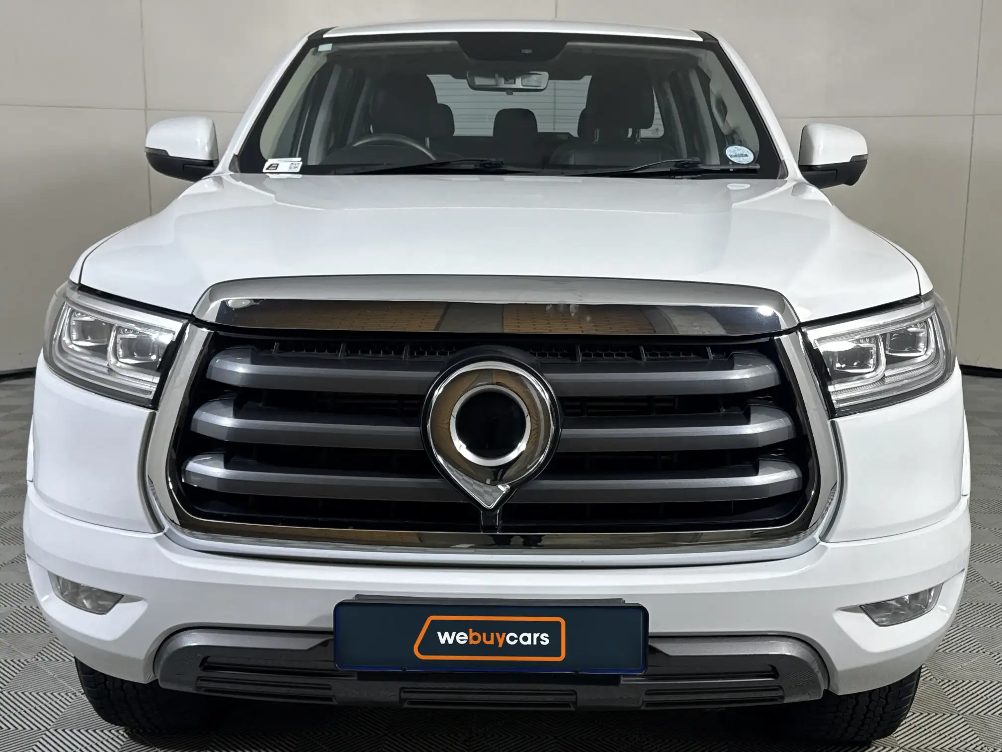 GWM P-Series