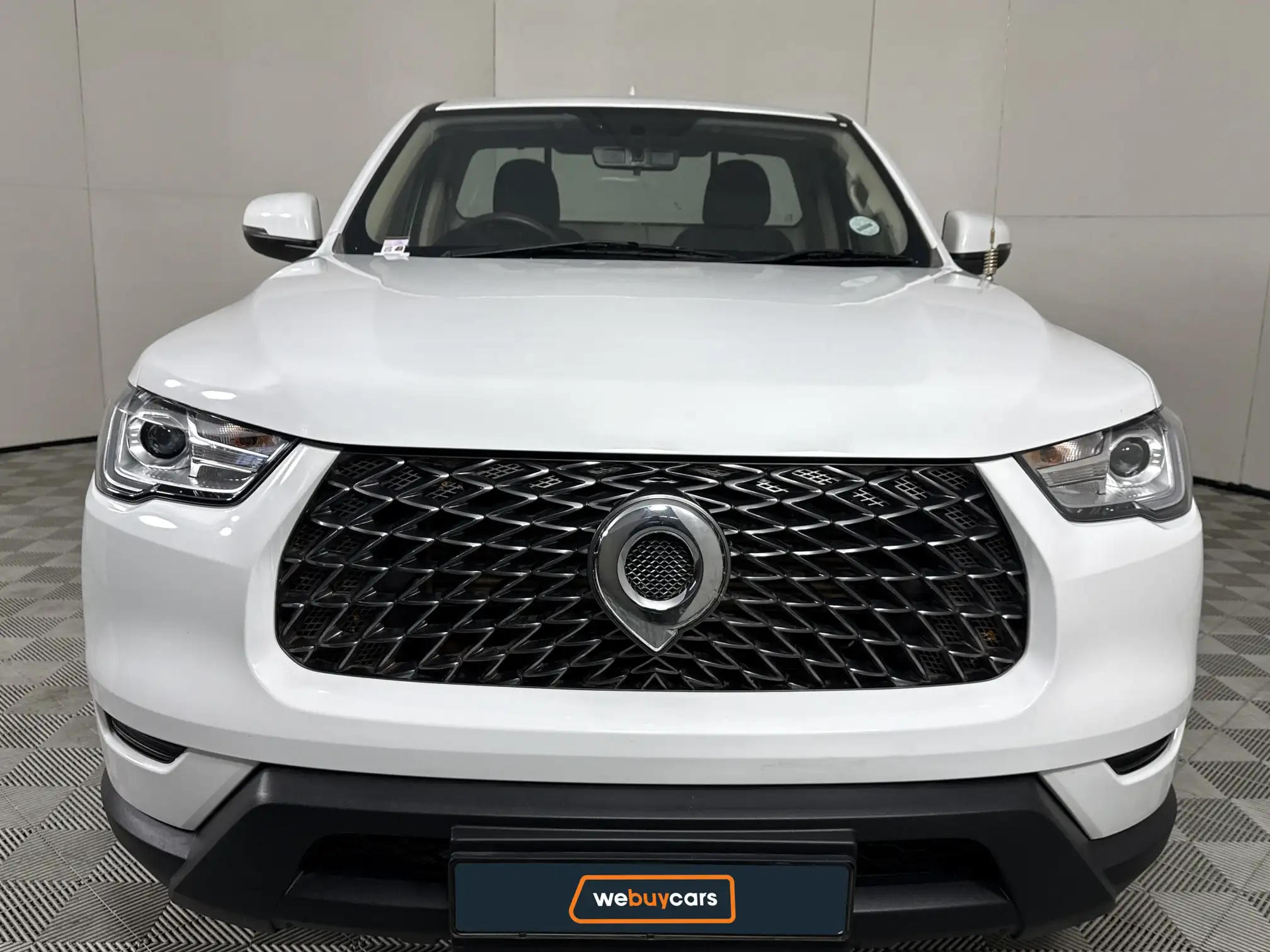 GWM P-Series