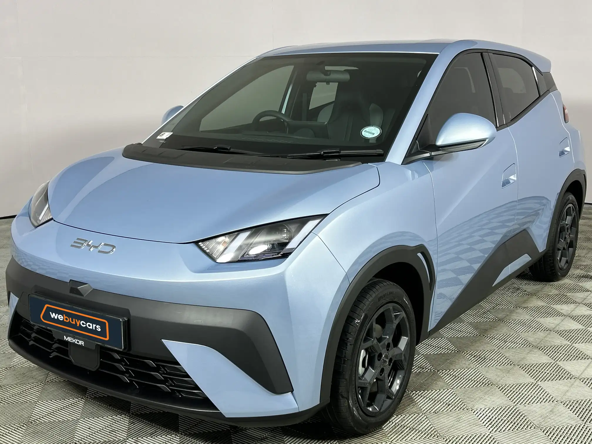 2026 BYD Dolphin Surf