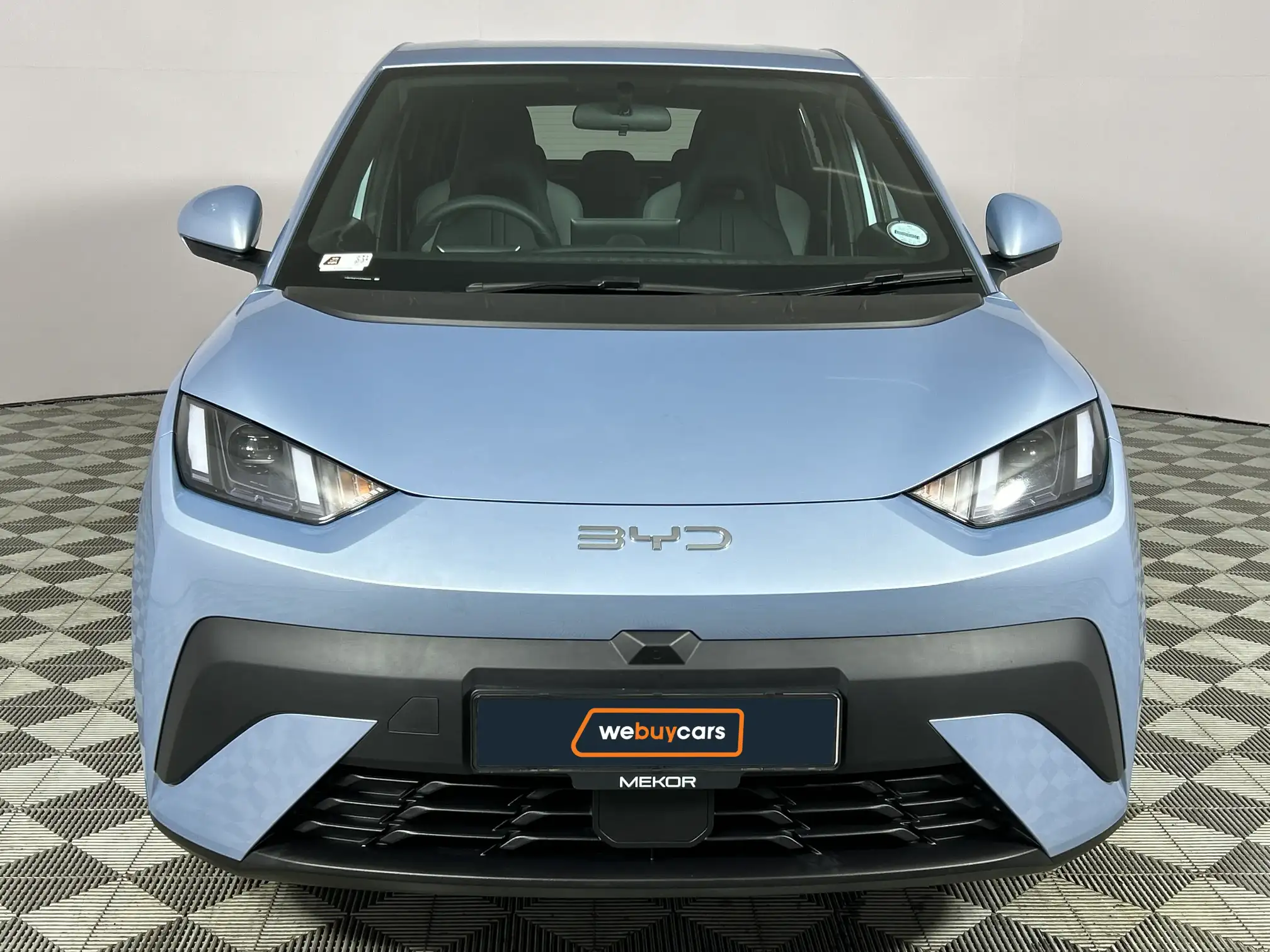 BYD Dolphin Surf