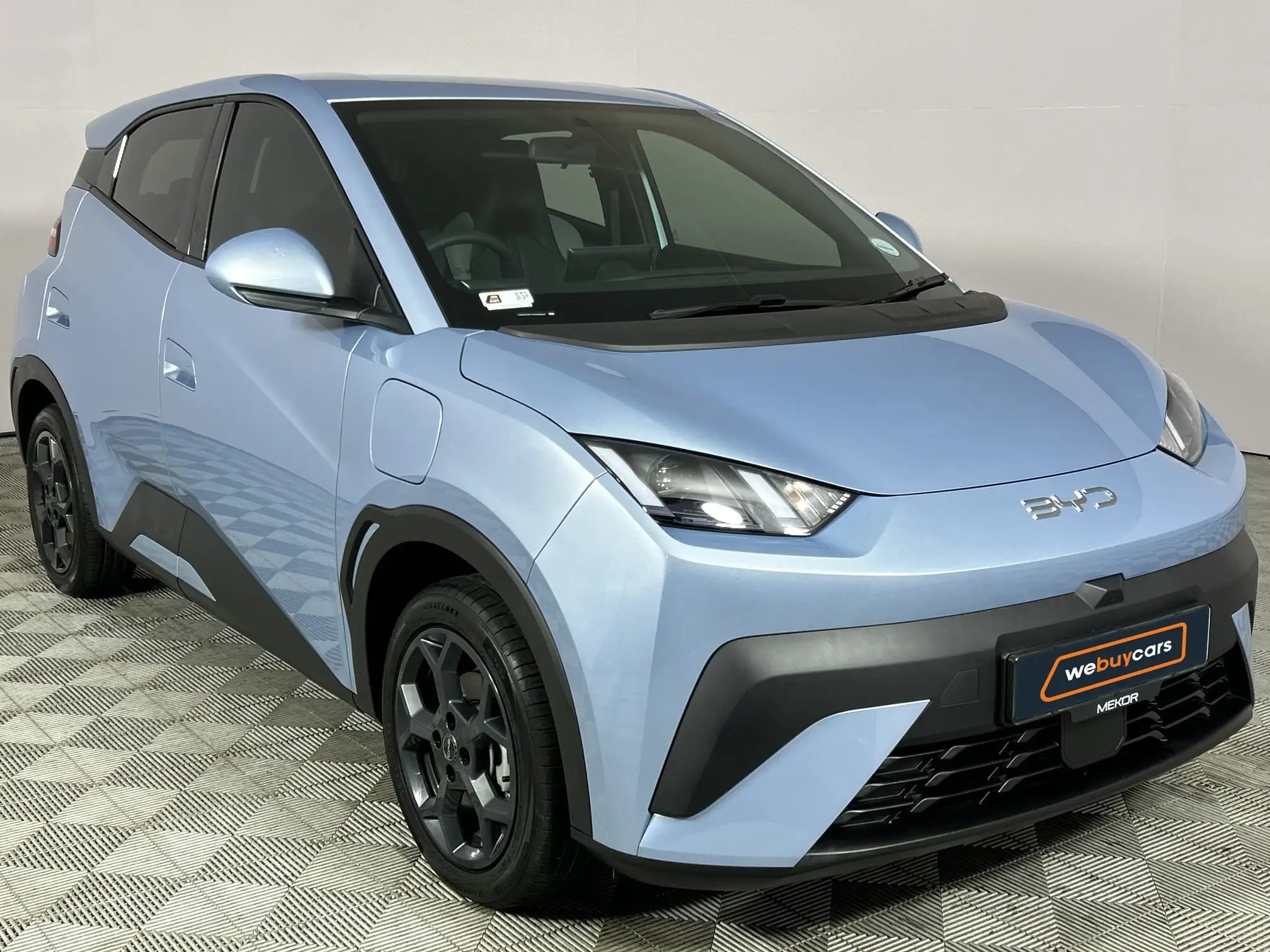 BYD Dolphin Surf