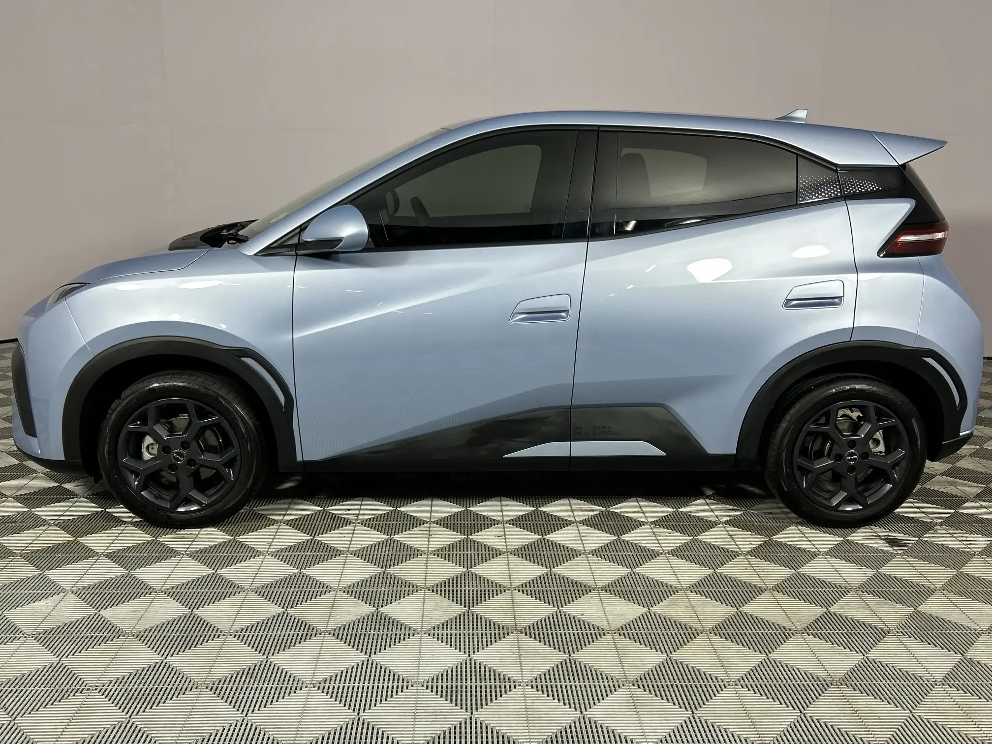 BYD Dolphin Surf