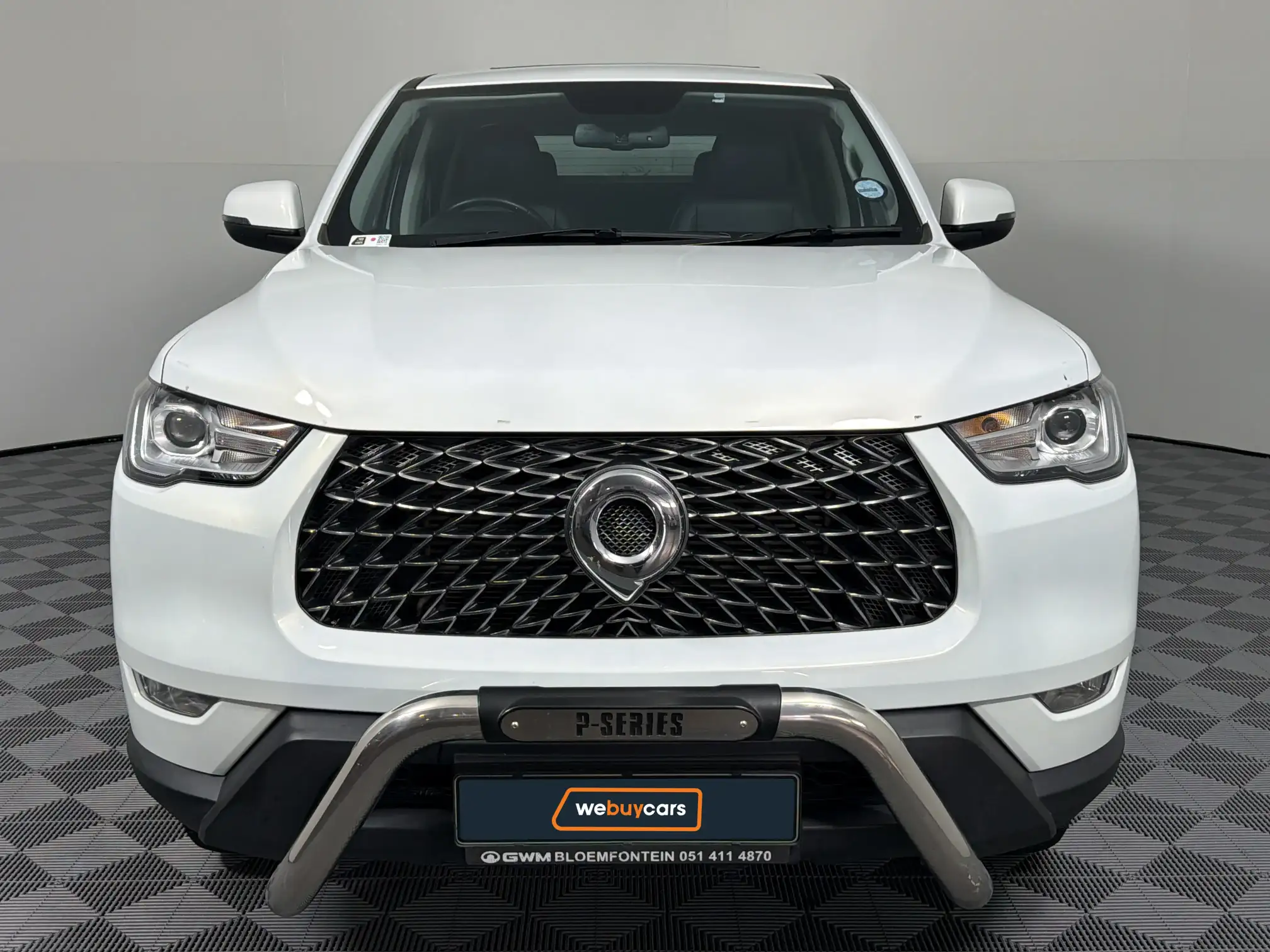 GWM P-Series