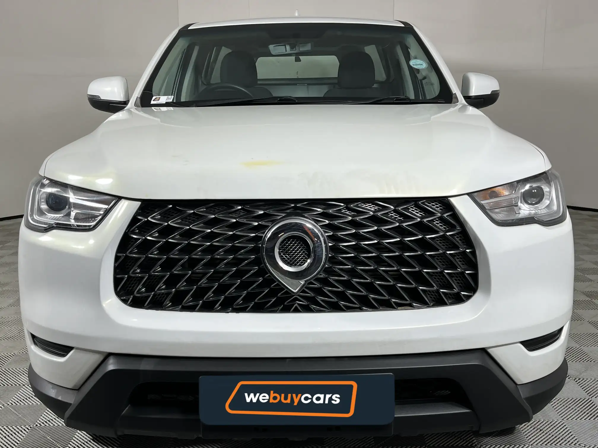 GWM P-Series