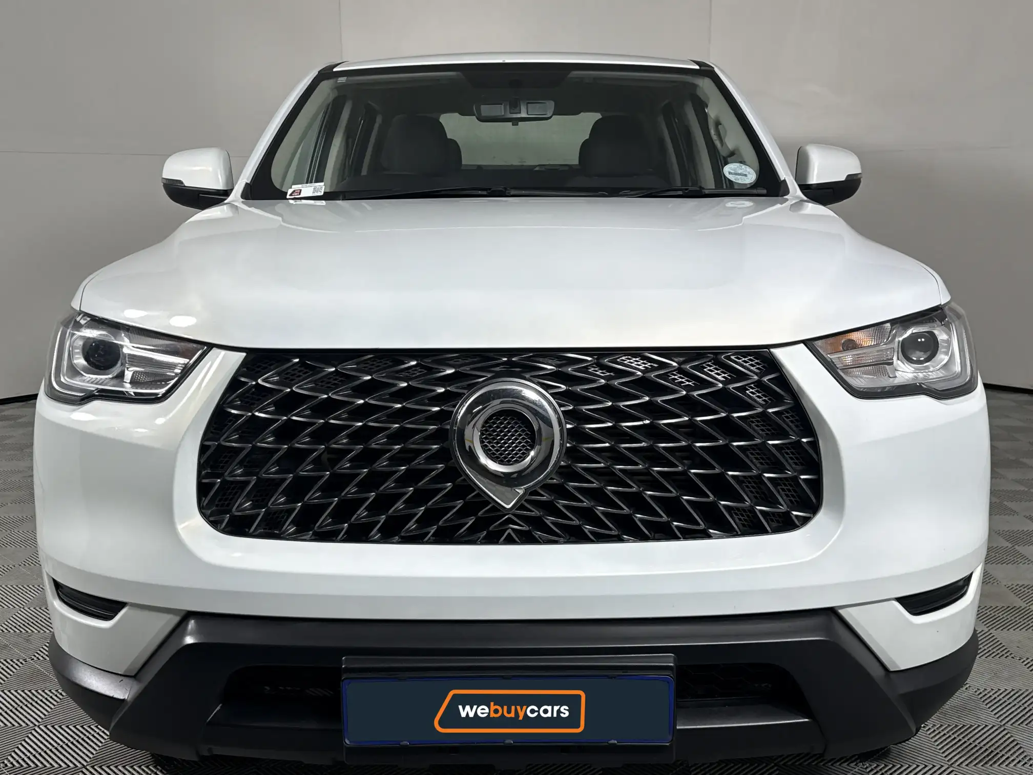 GWM P-Series