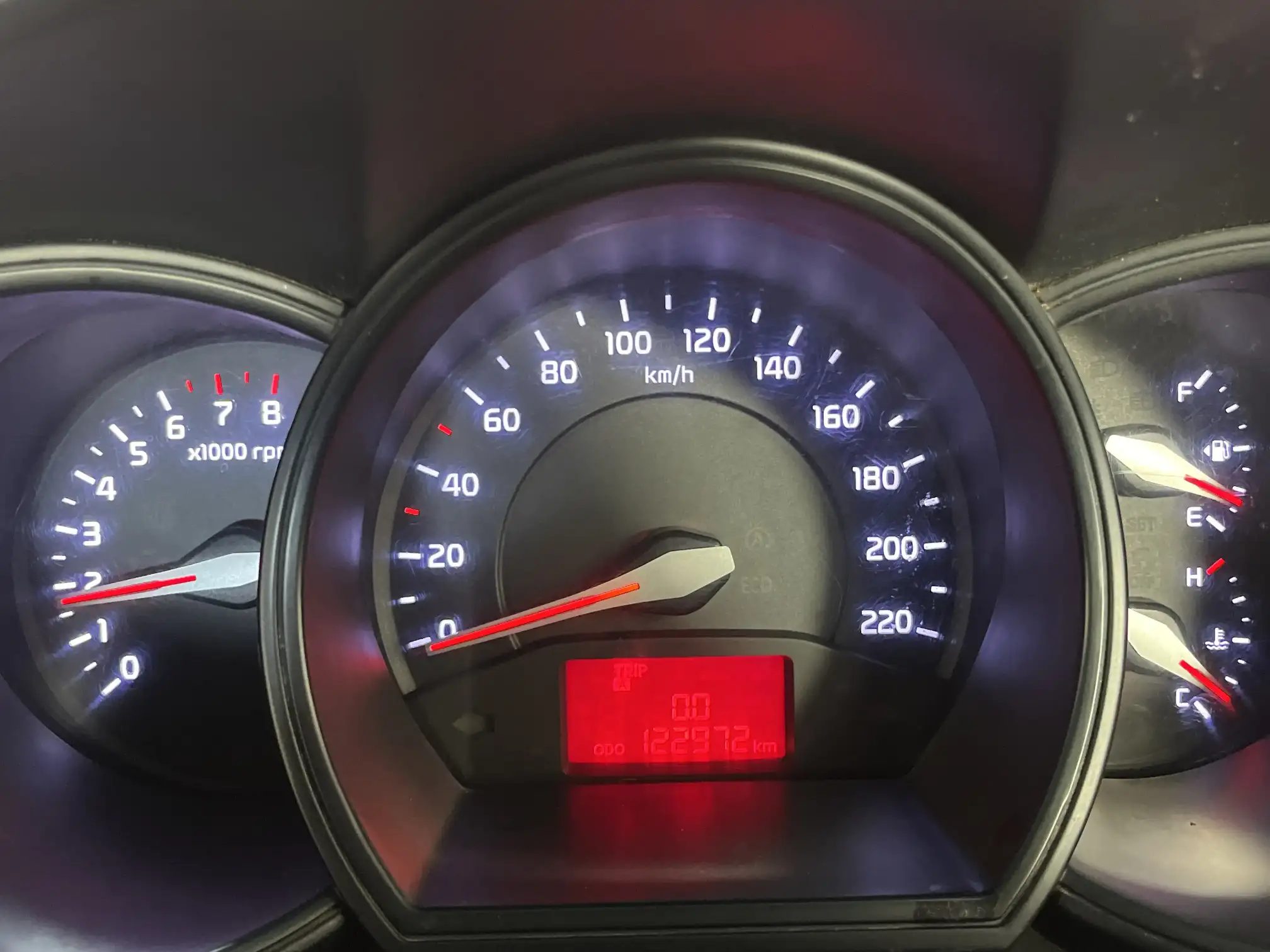 KIA RIO