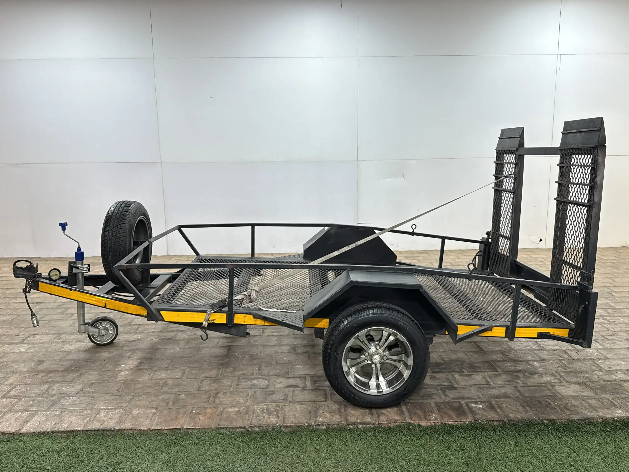 Alpha & Omega Light Body