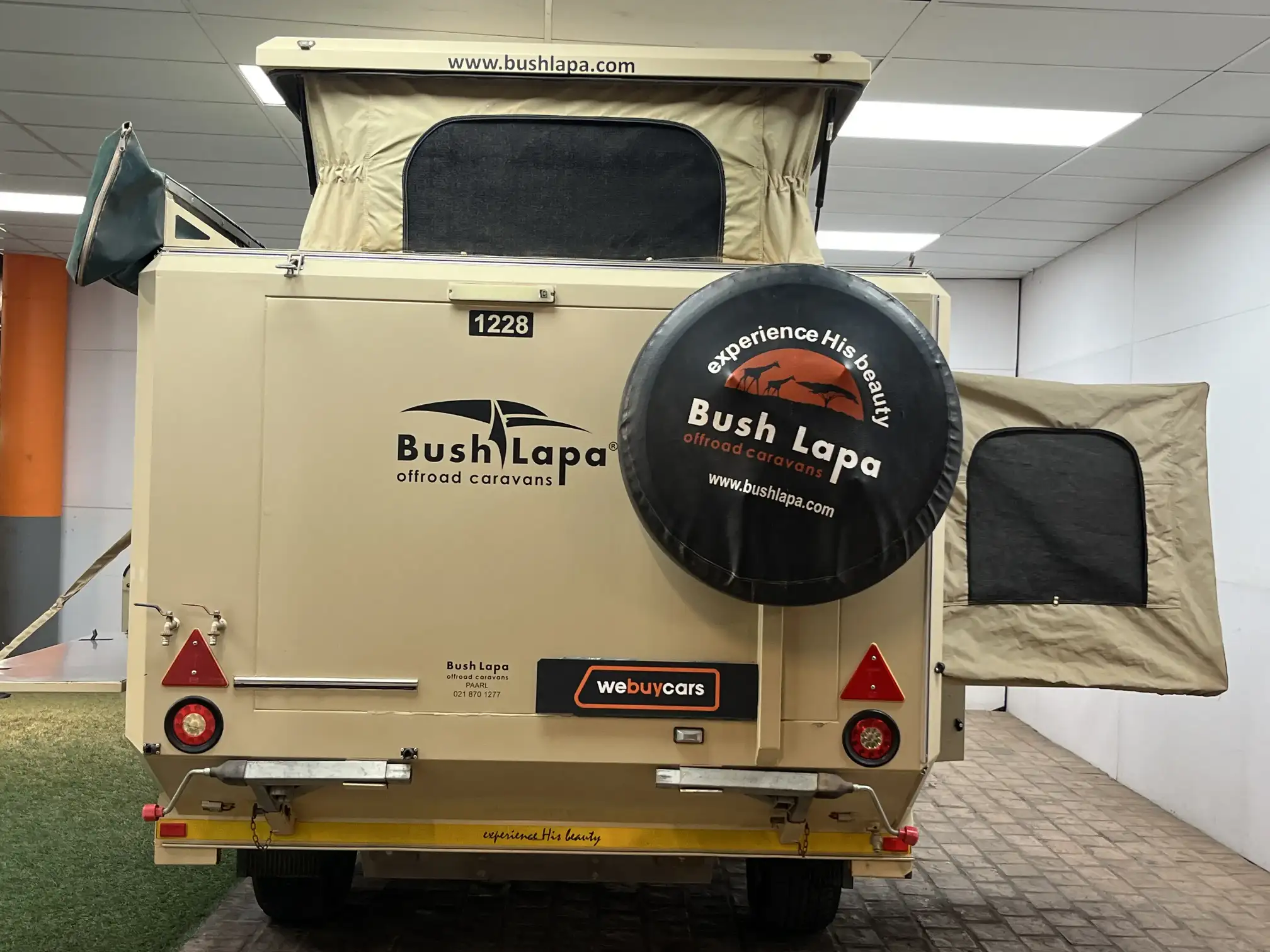 Bush Lapa Ratel