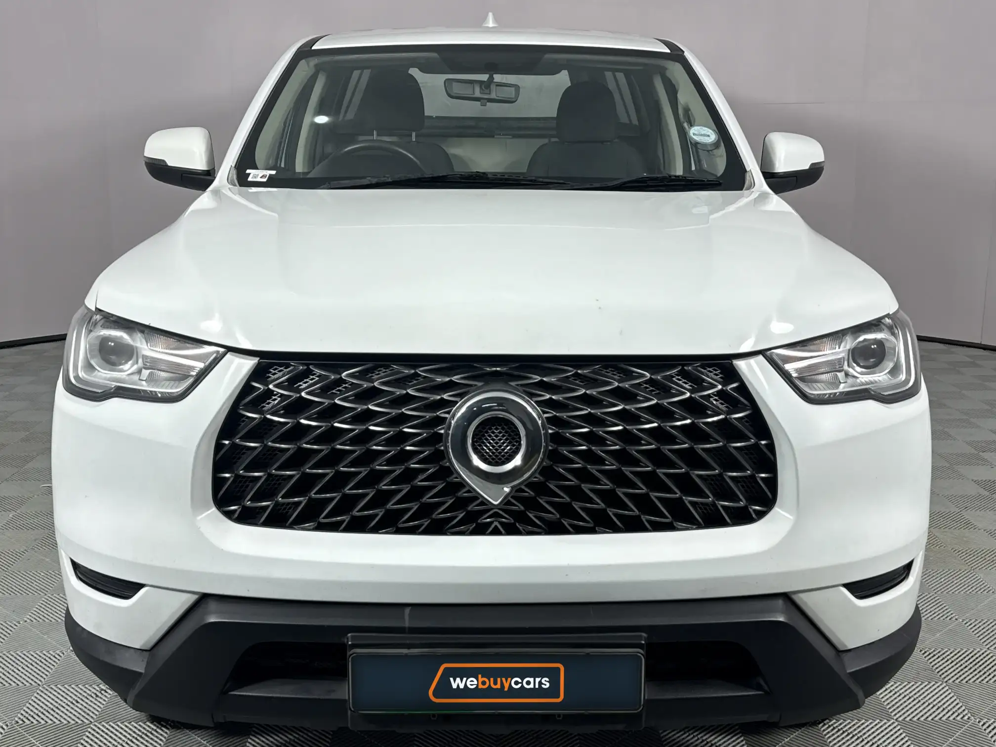 GWM P-Series