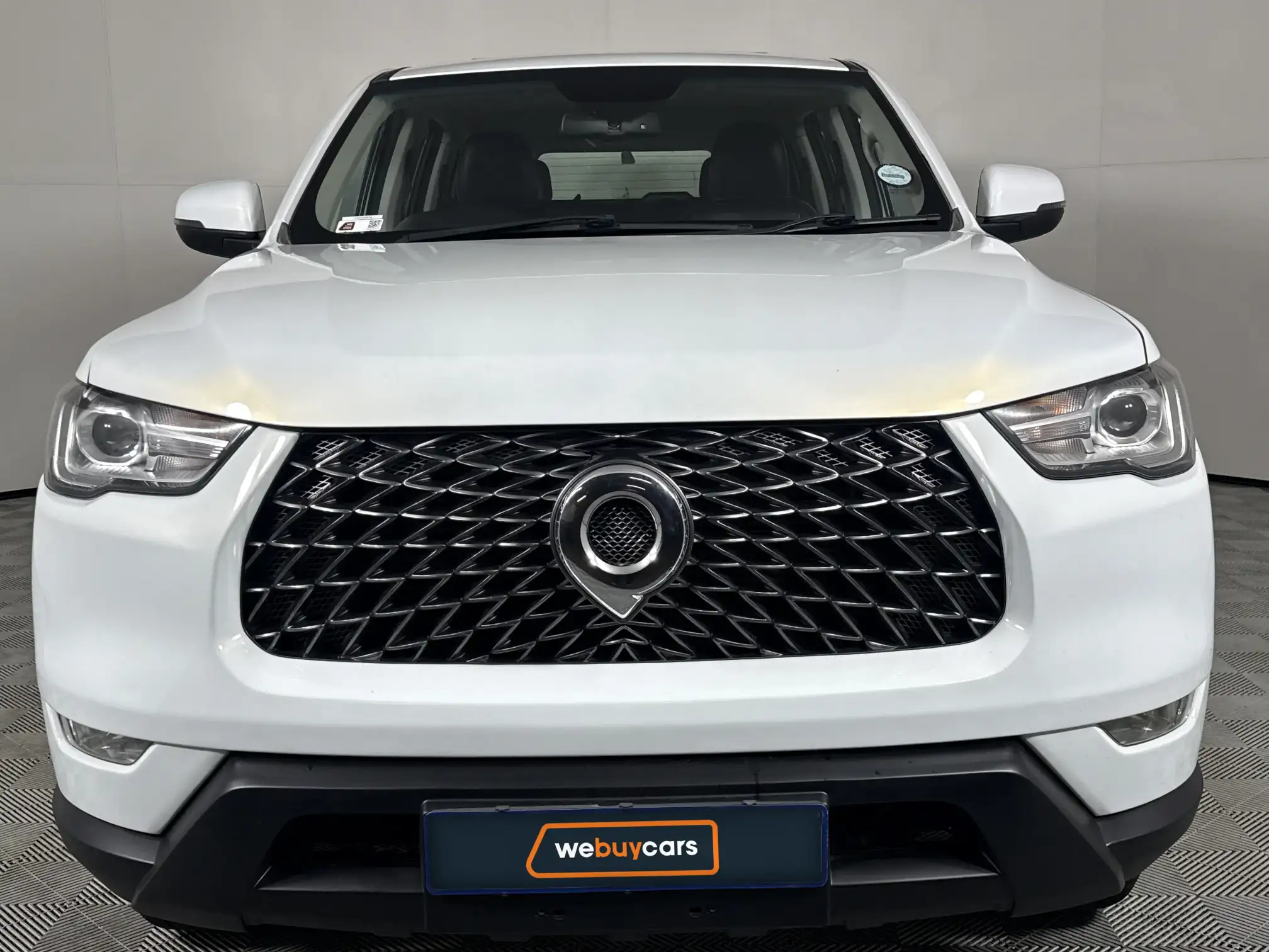 GWM P-Series