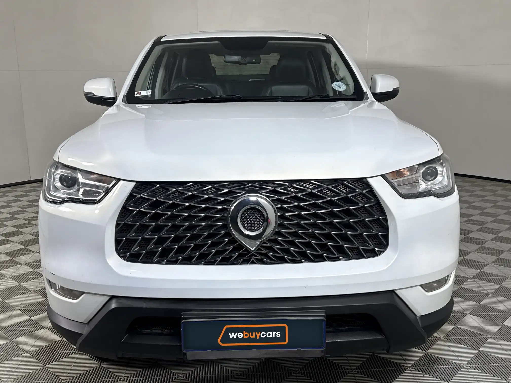 GWM P-Series