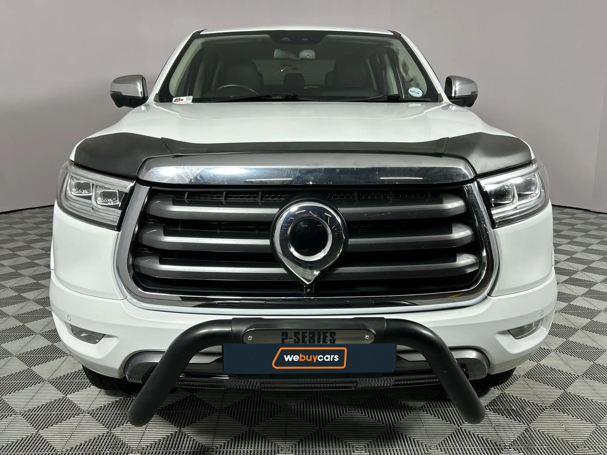 GWM P-Series