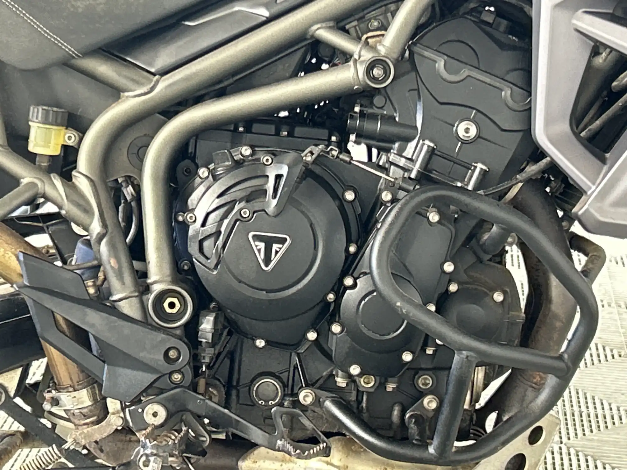 Triumph Tiger