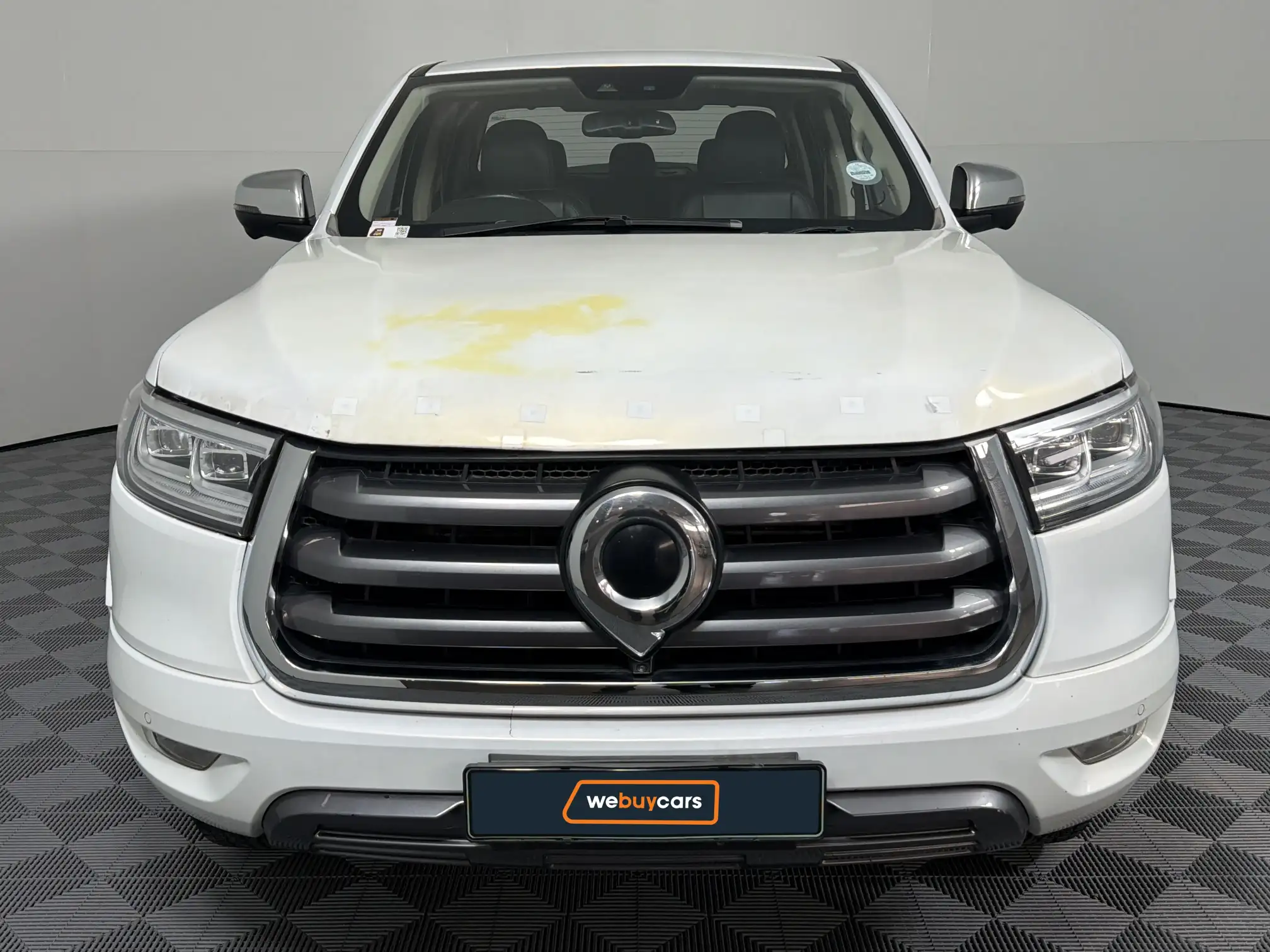 GWM P-Series