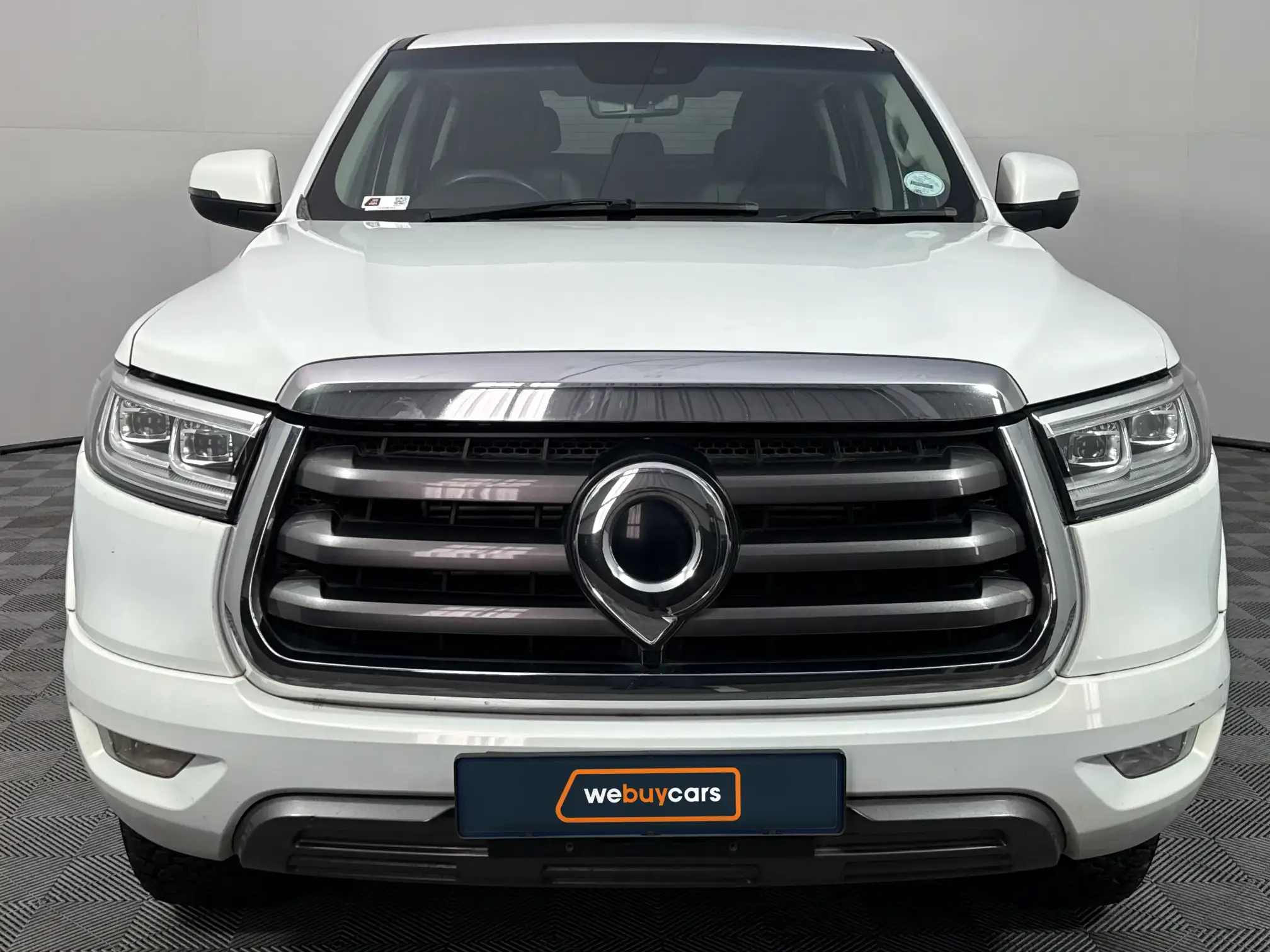 GWM P-Series