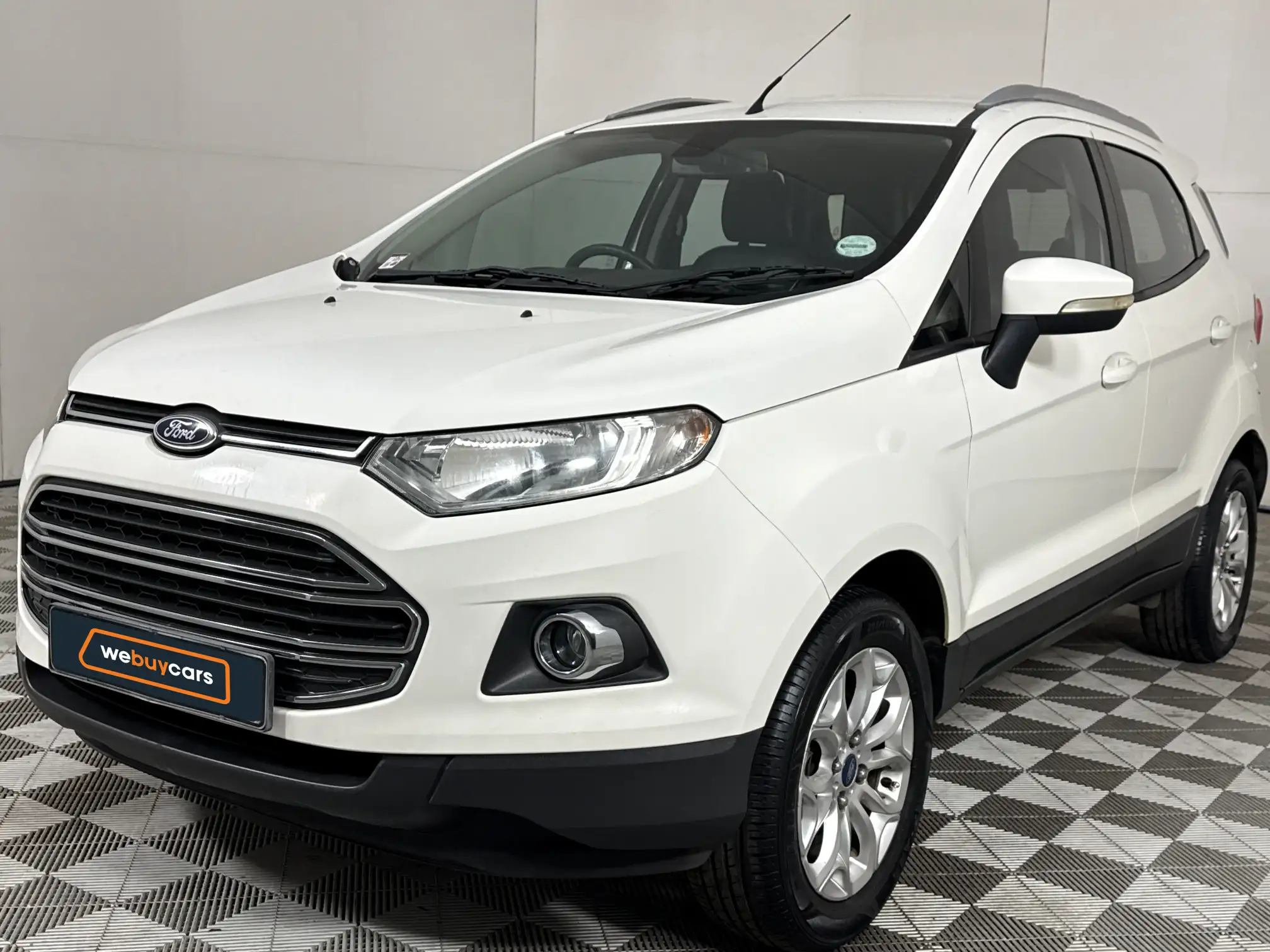 2013 Ford Ecosport