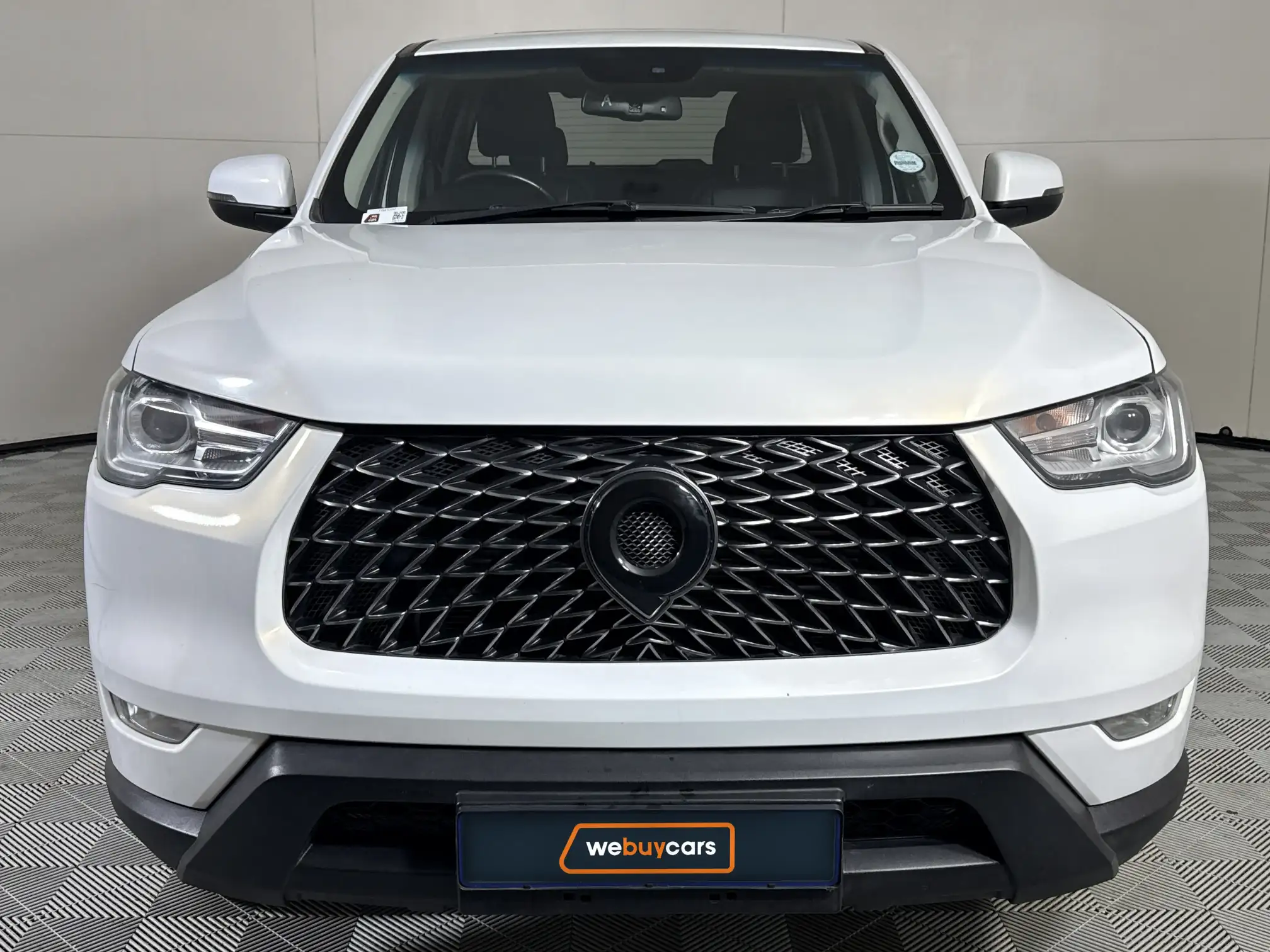 GWM P-Series