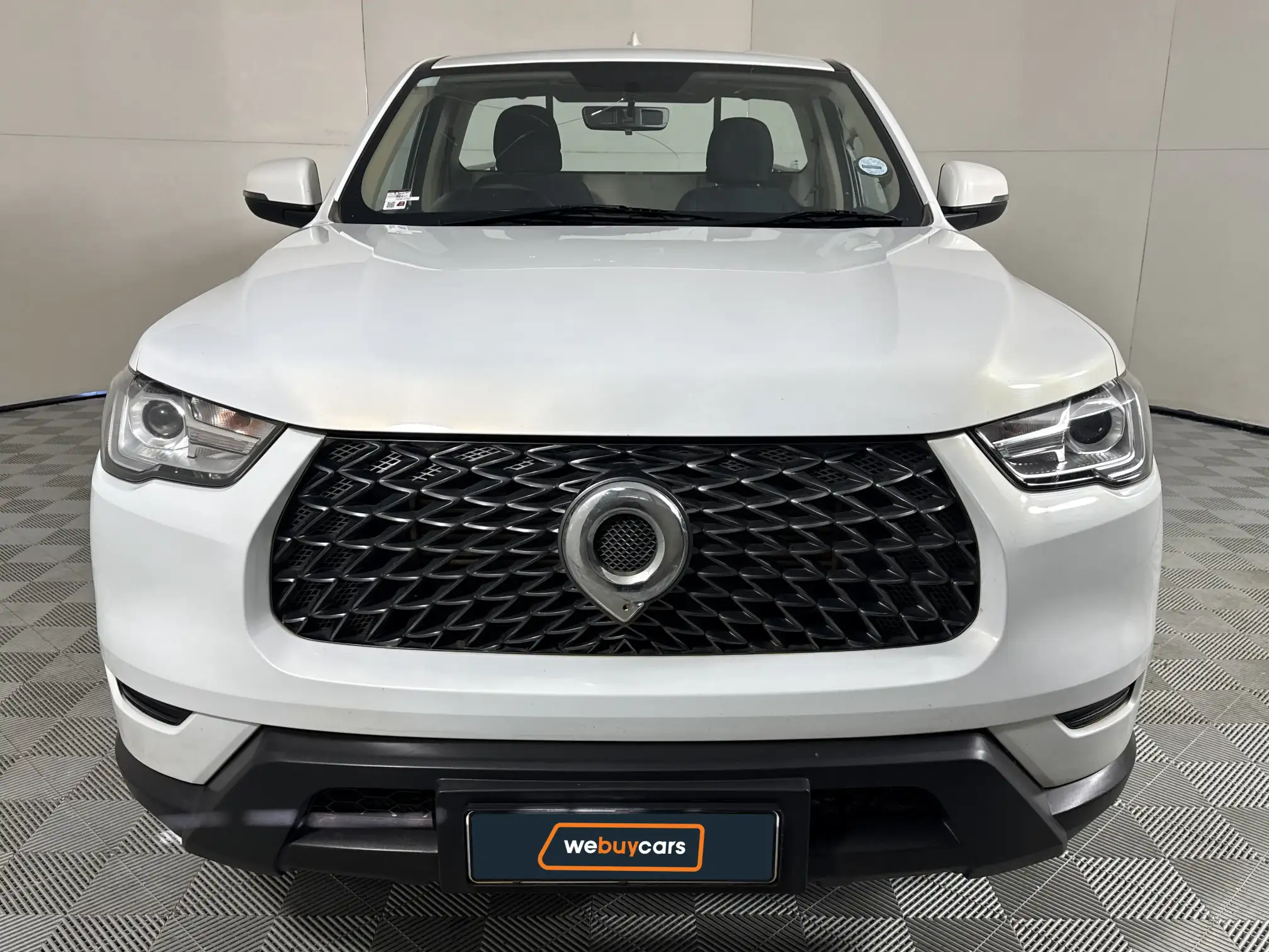 GWM P-Series