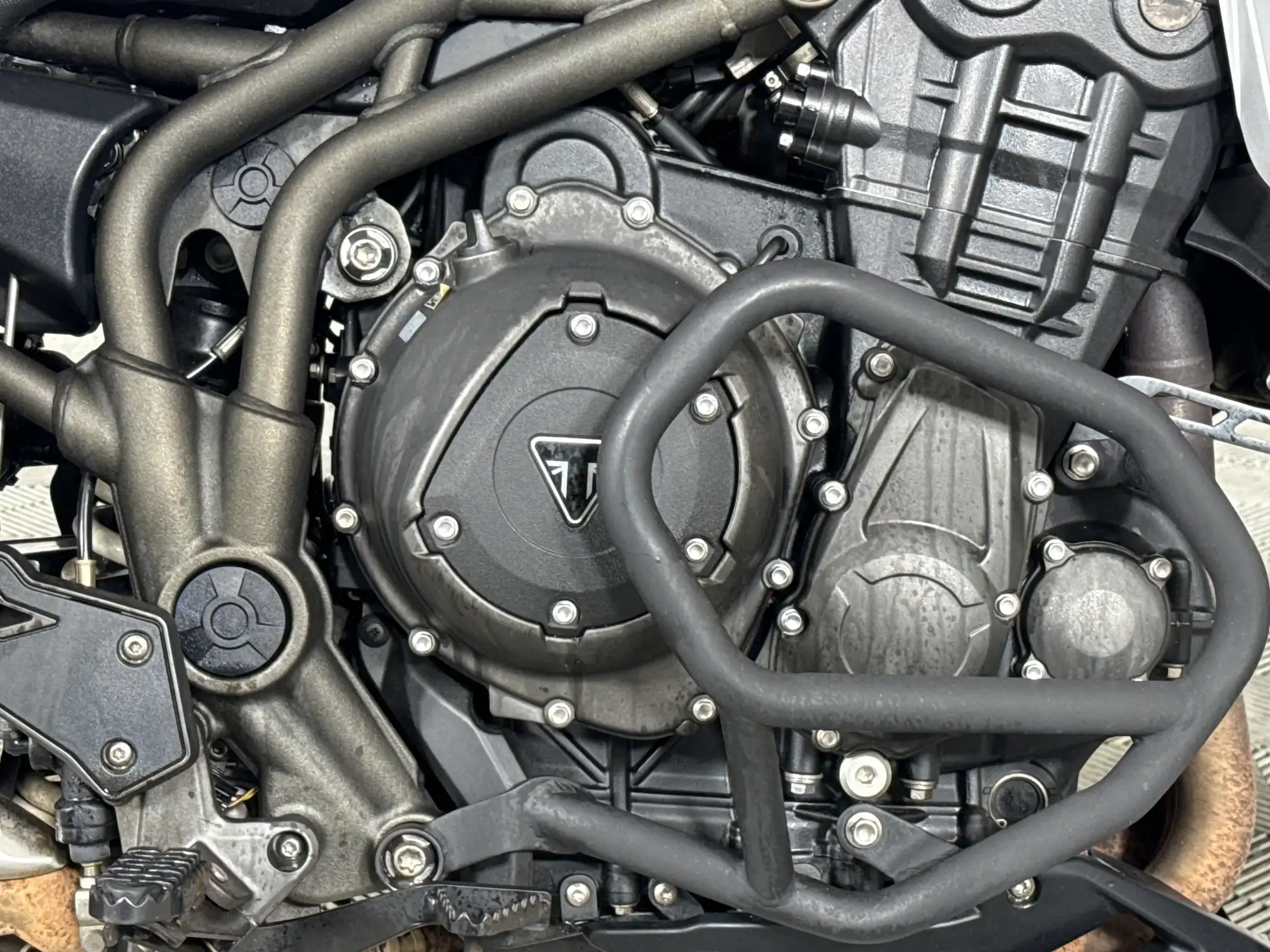 Triumph Tiger