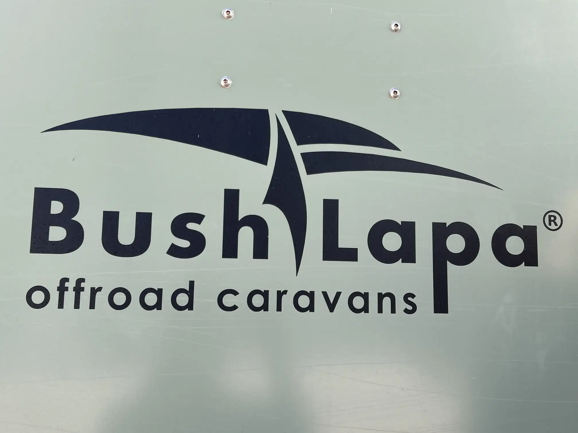 BushLapa Boabab