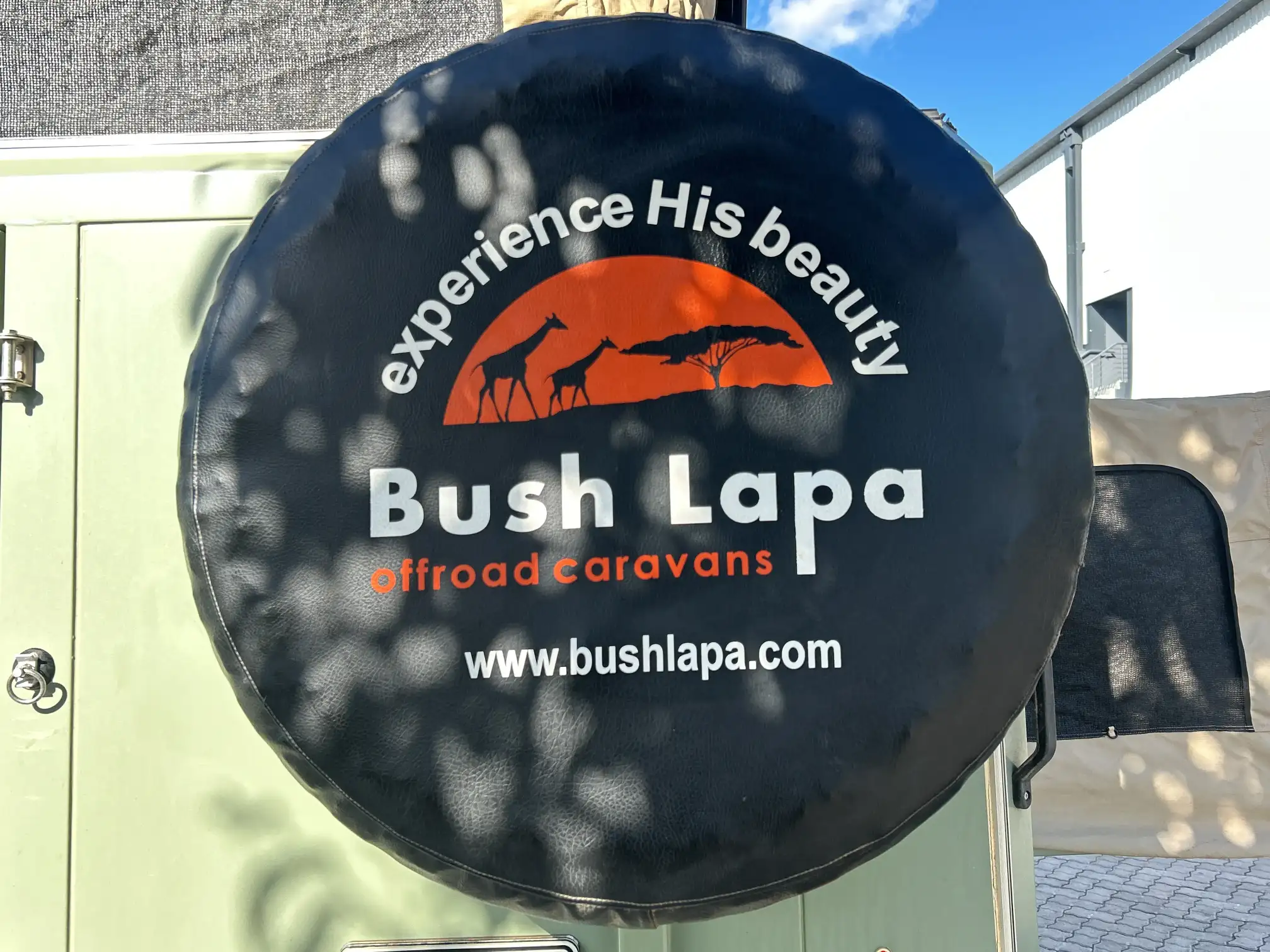 BushLapa Boabab