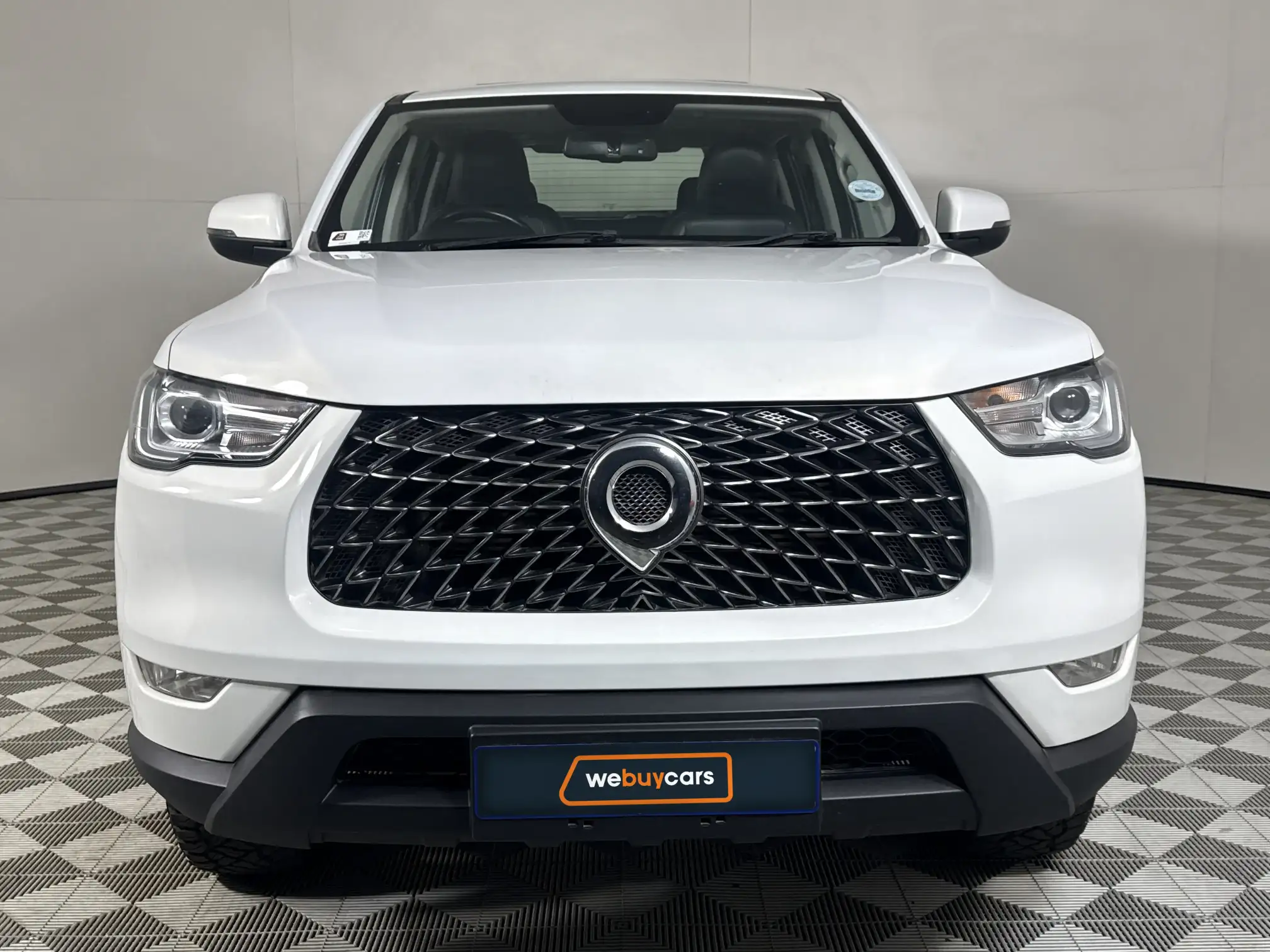 GWM P-Series