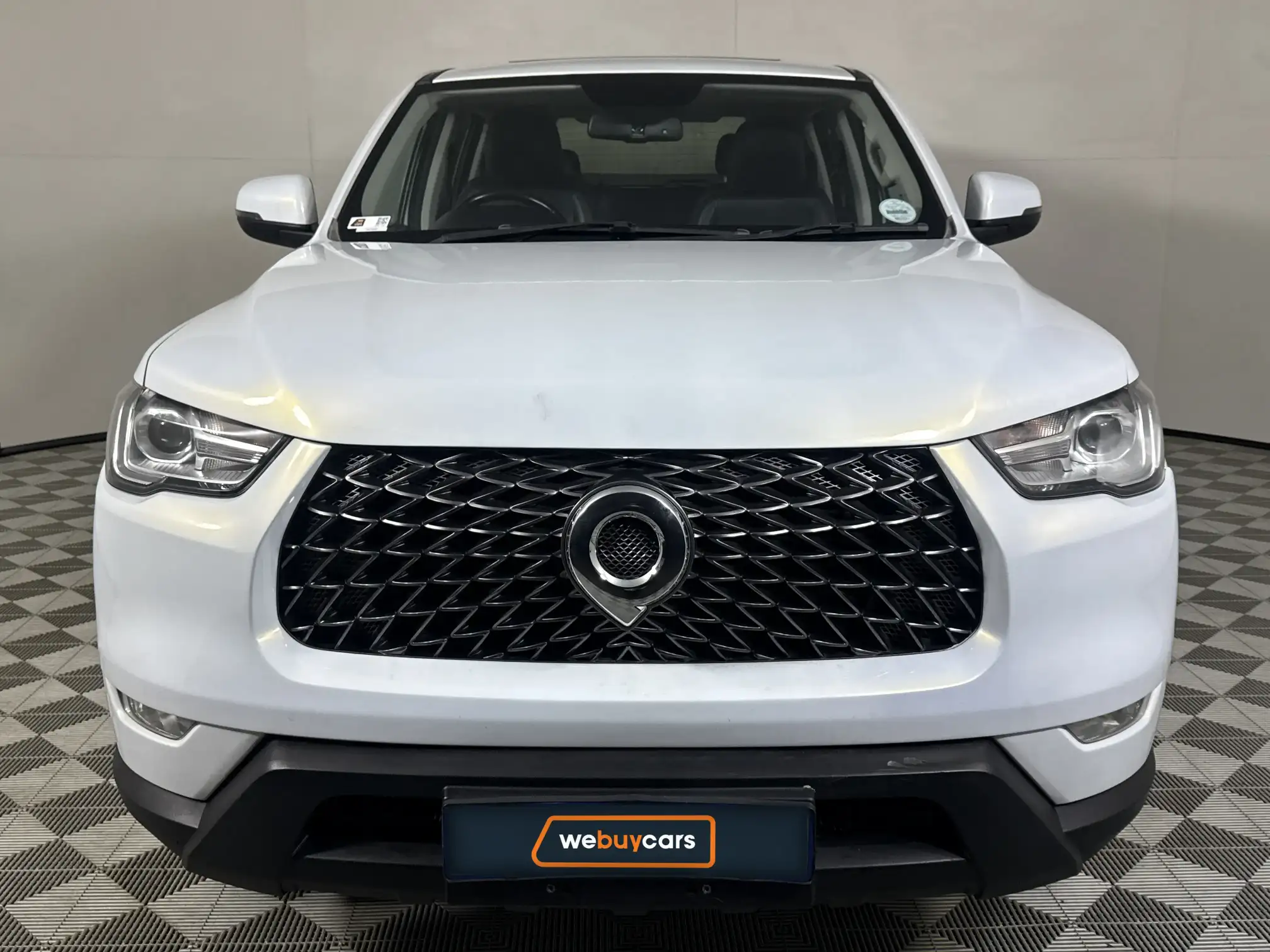 GWM P-Series