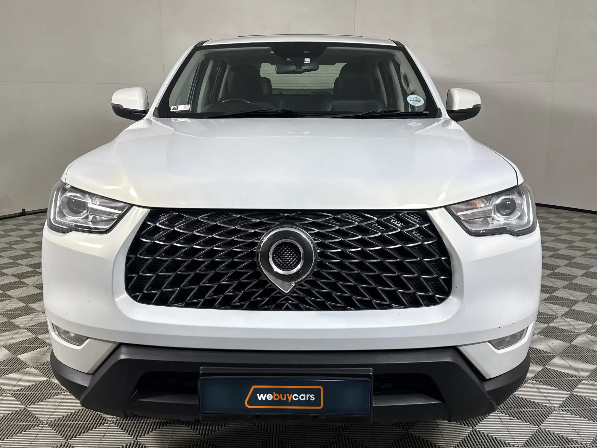 GWM P-Series