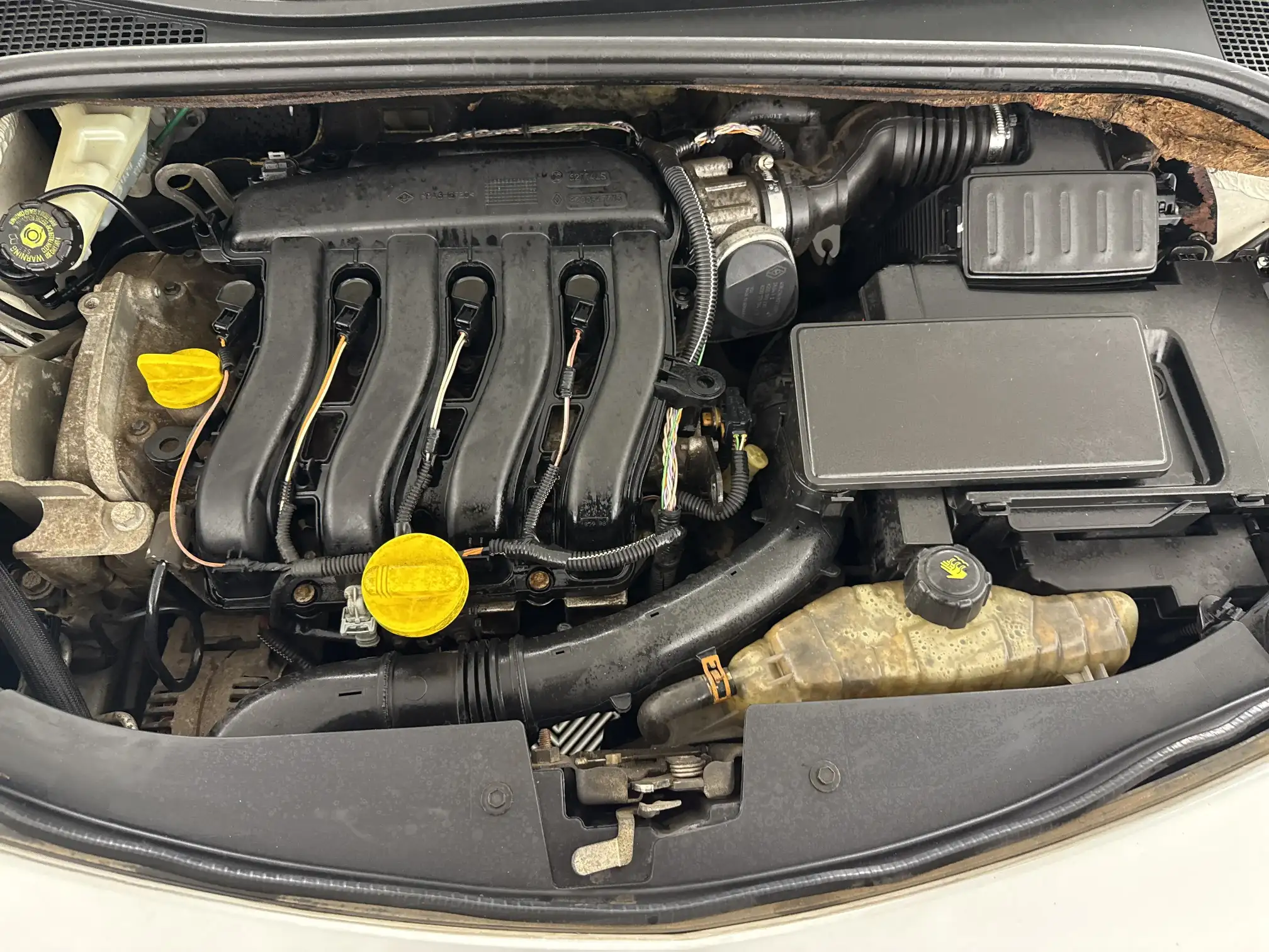 Renault Clio III