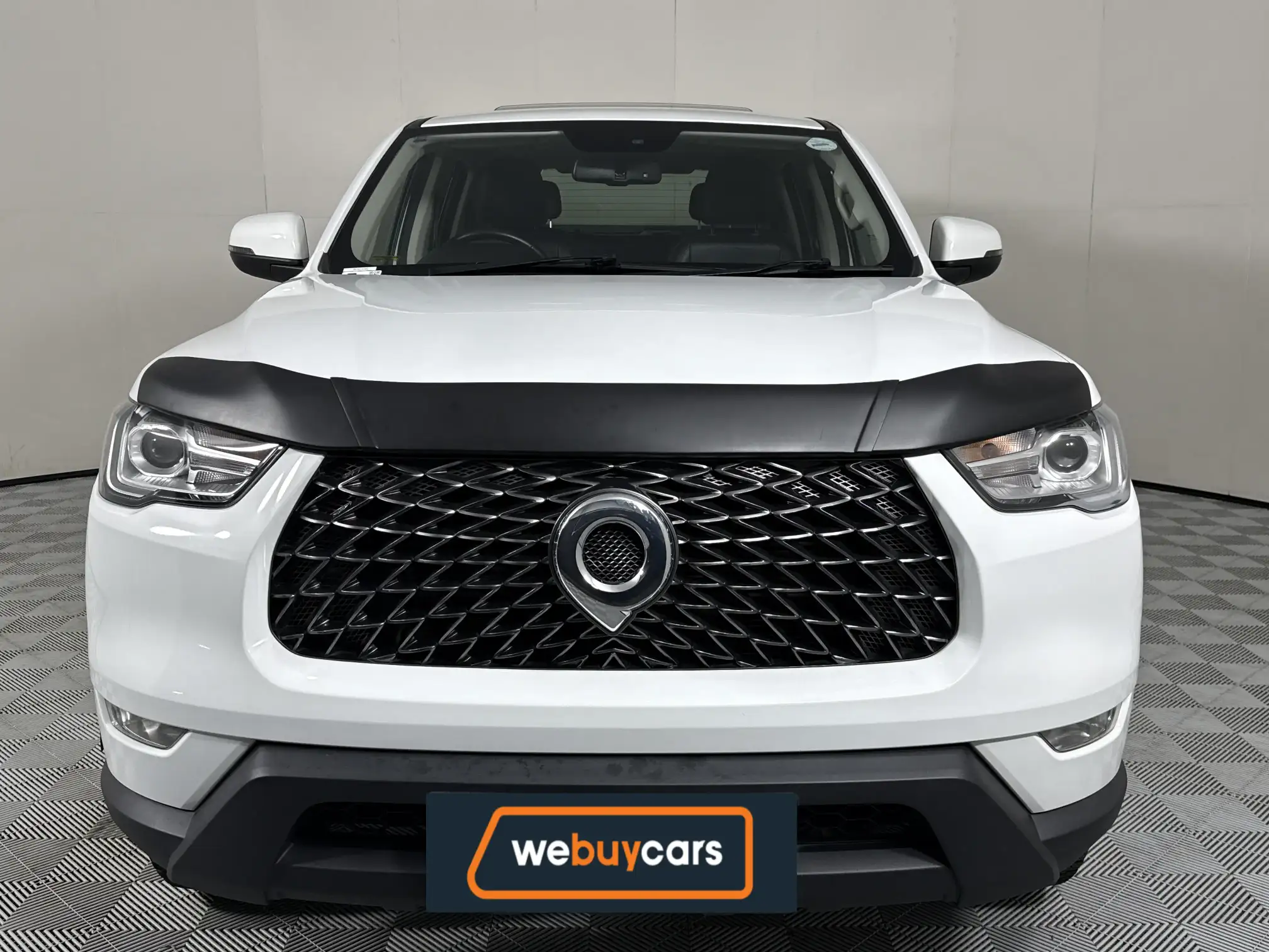 GWM P-Series