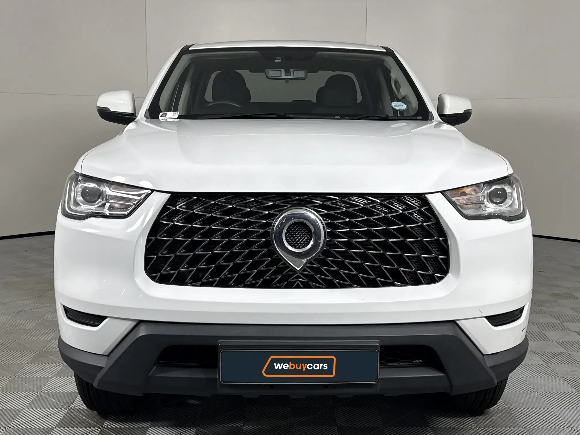 GWM P-Series