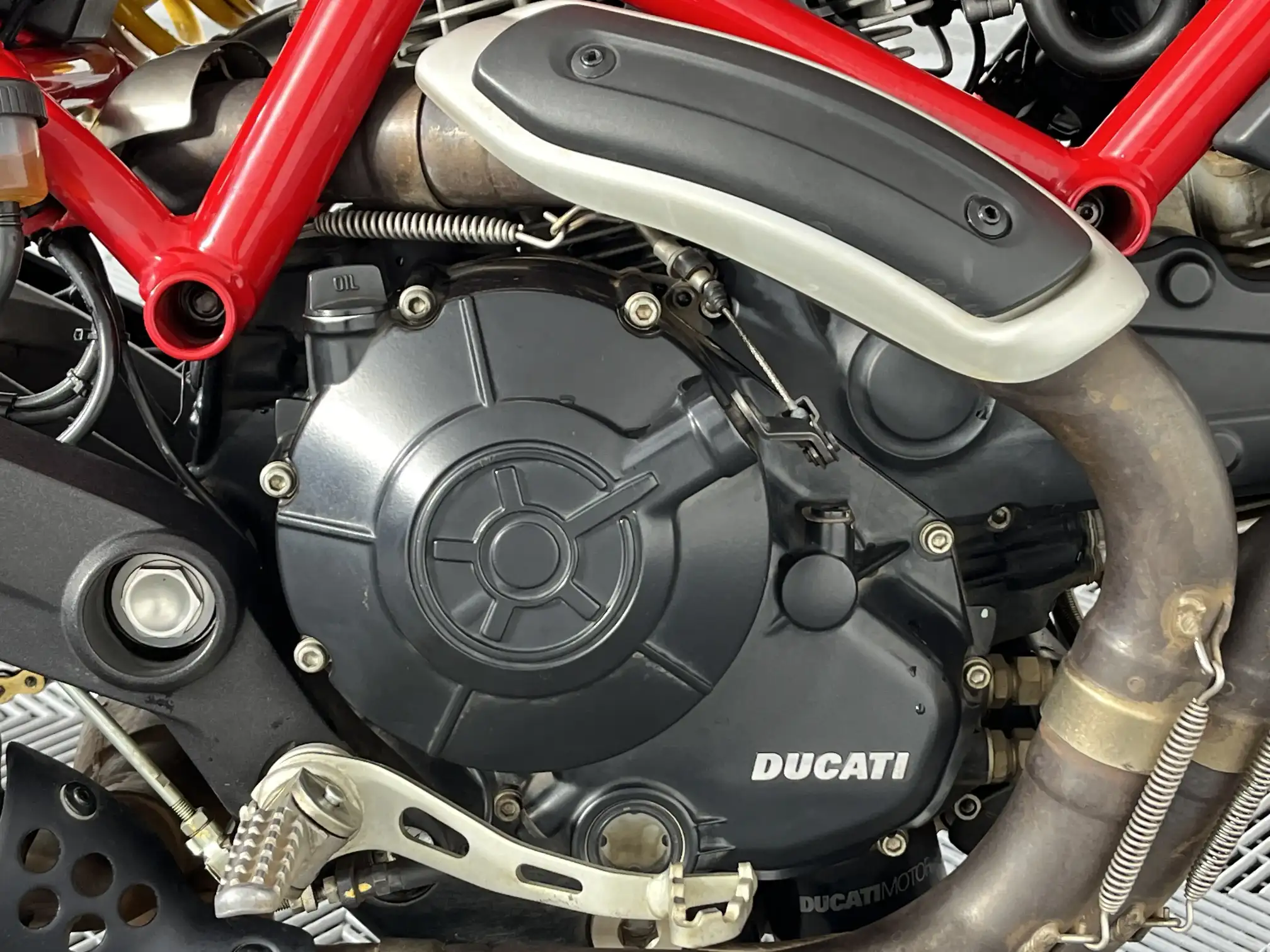 Ducati Monster