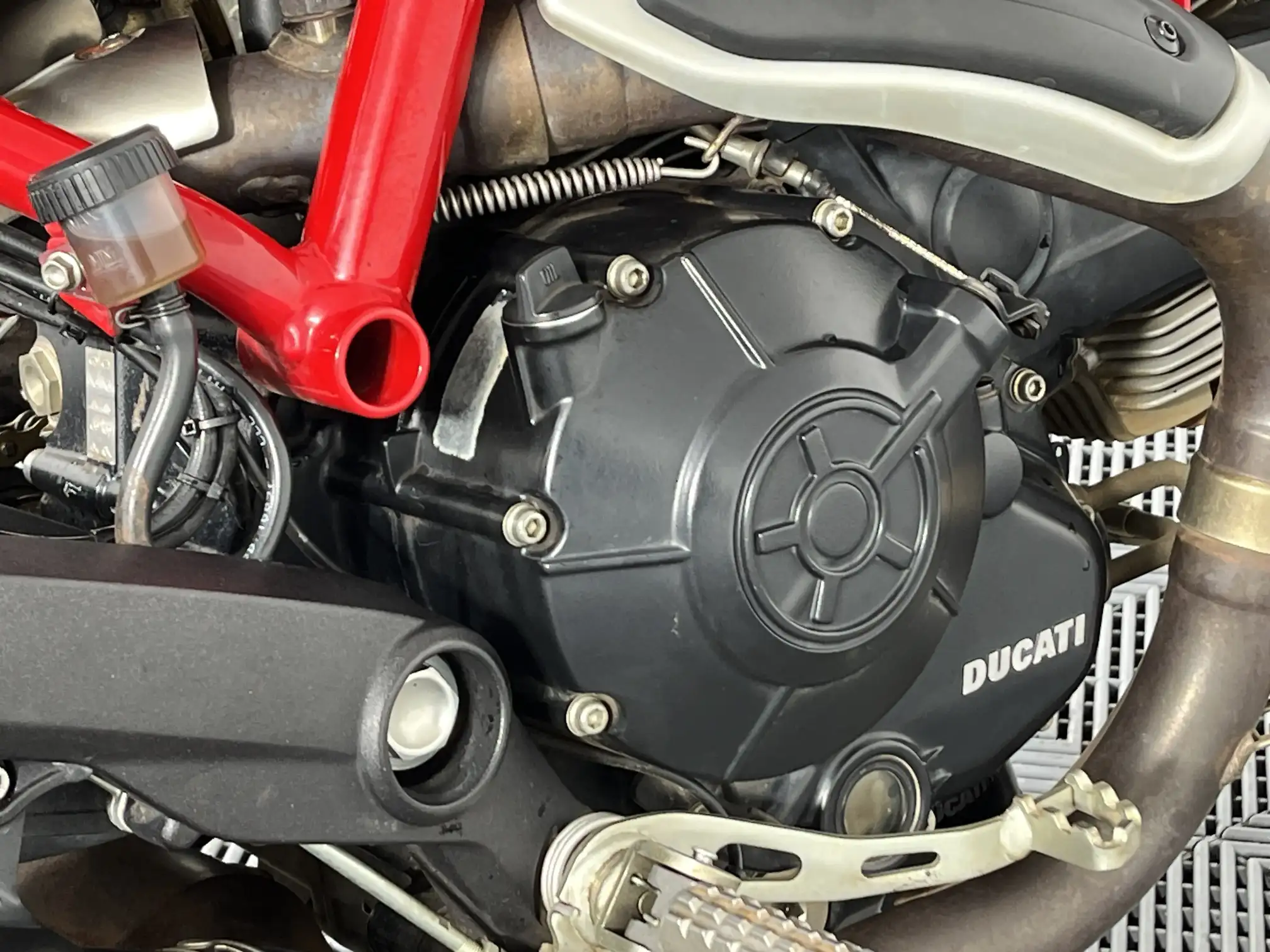 Ducati Monster