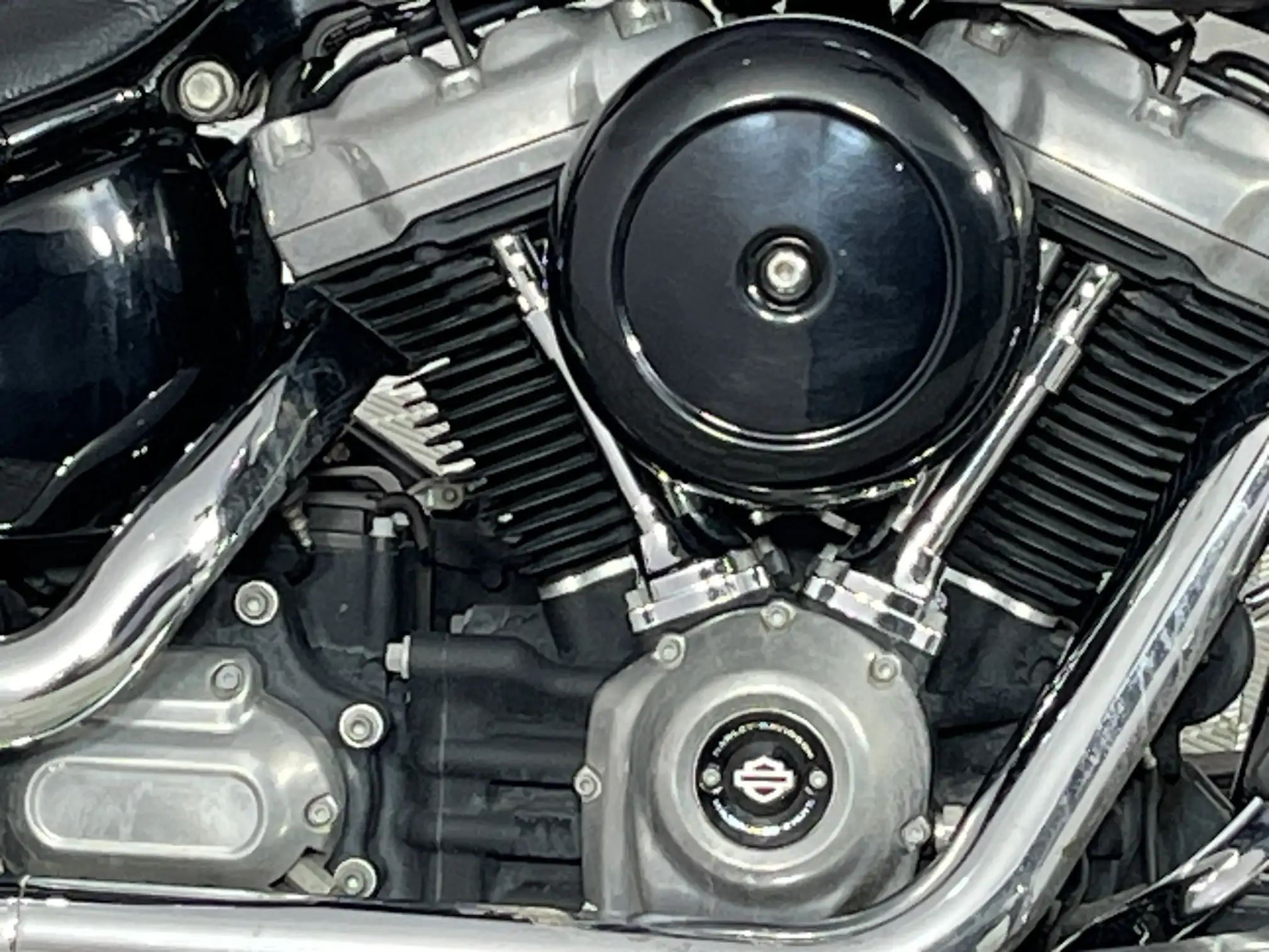 Harley Davidson Softail