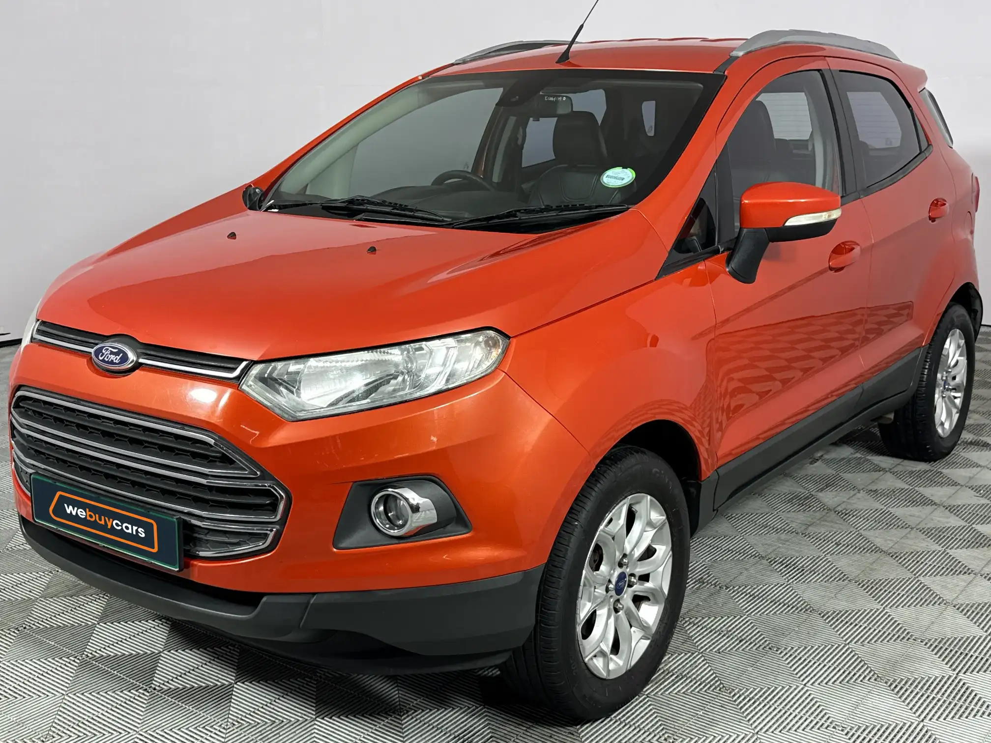 2013 Ford Ecosport