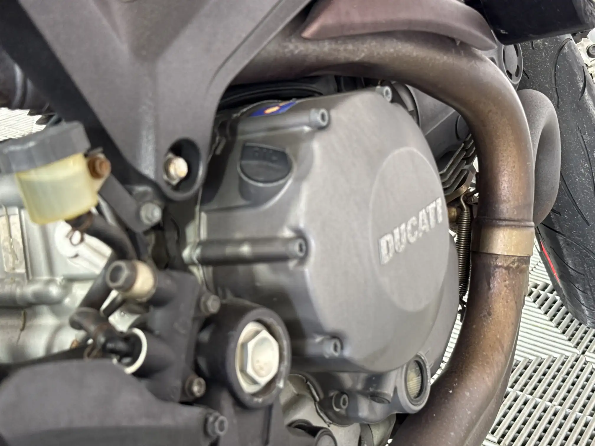 Ducati Monster