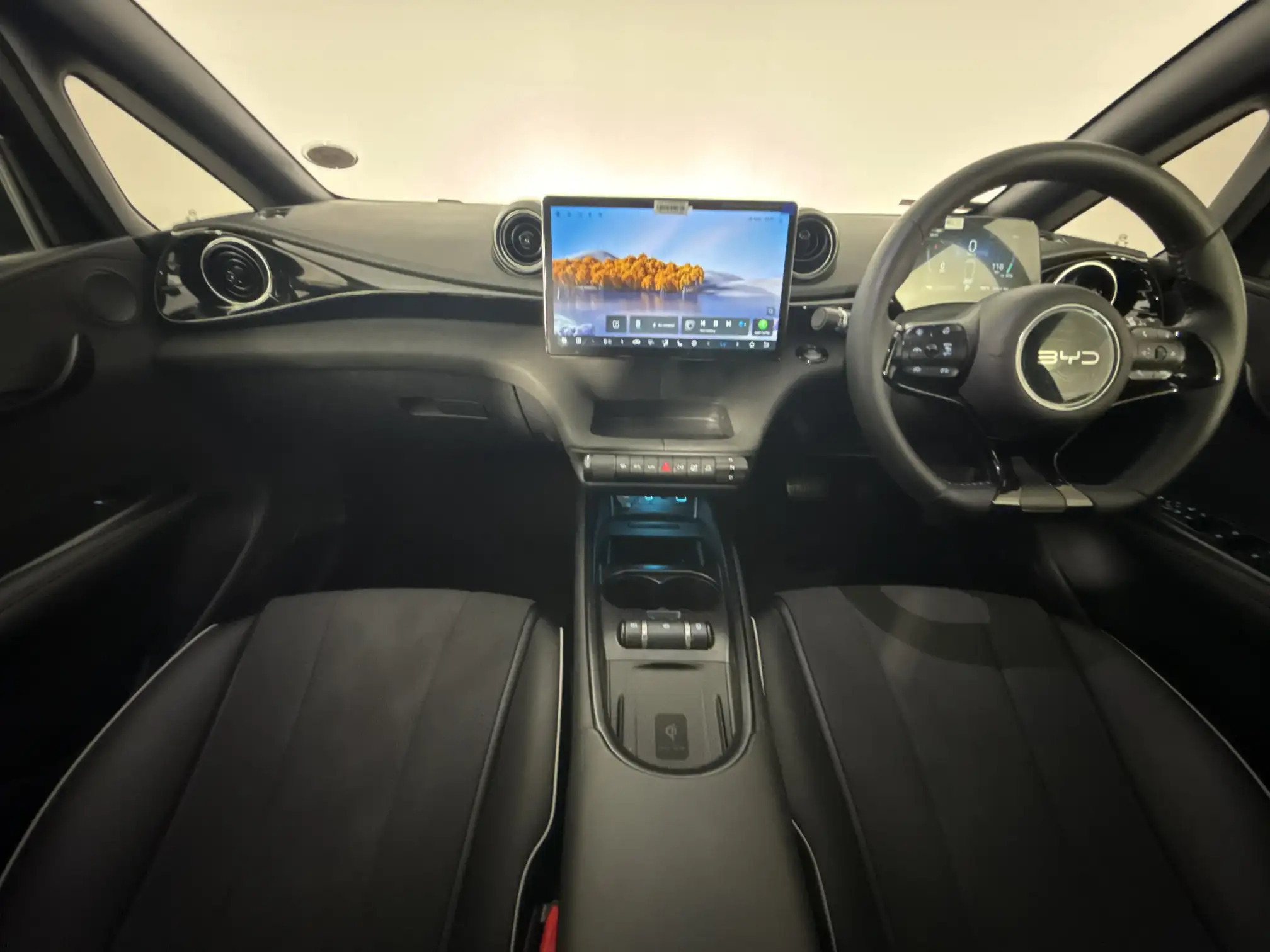 BYD Dolphin