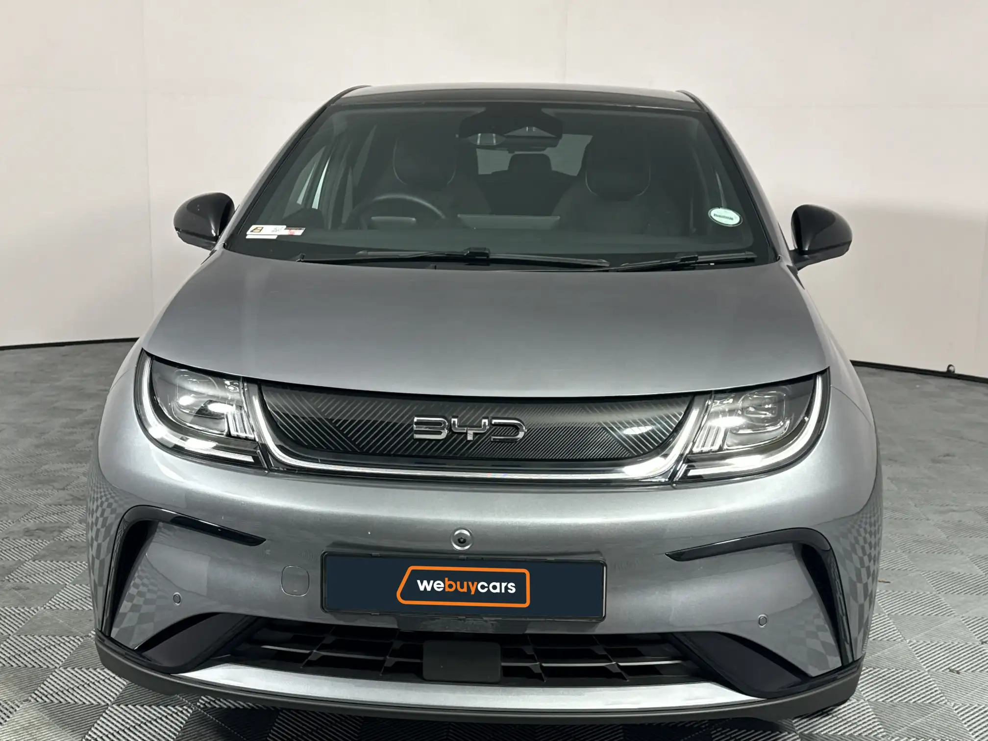 BYD Dolphin