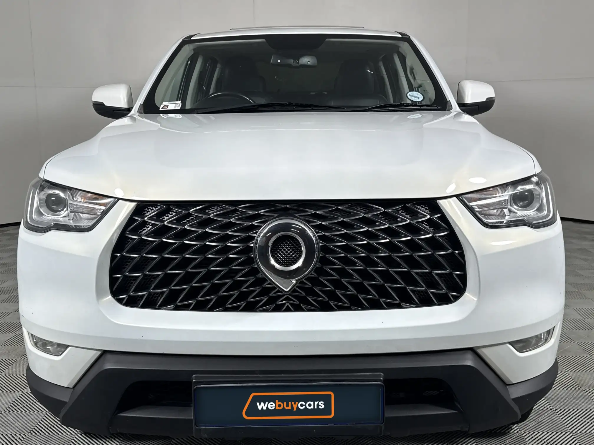 GWM P-Series
