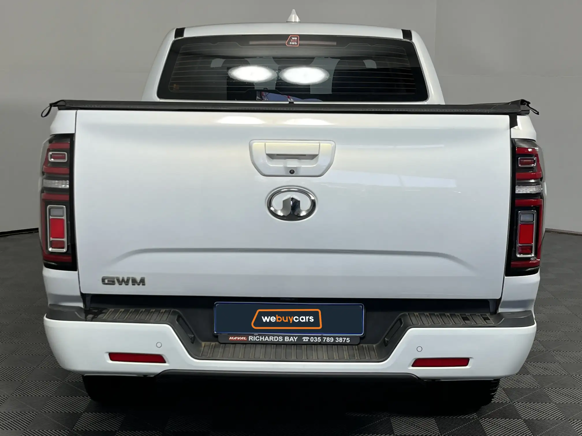GWM P-Series